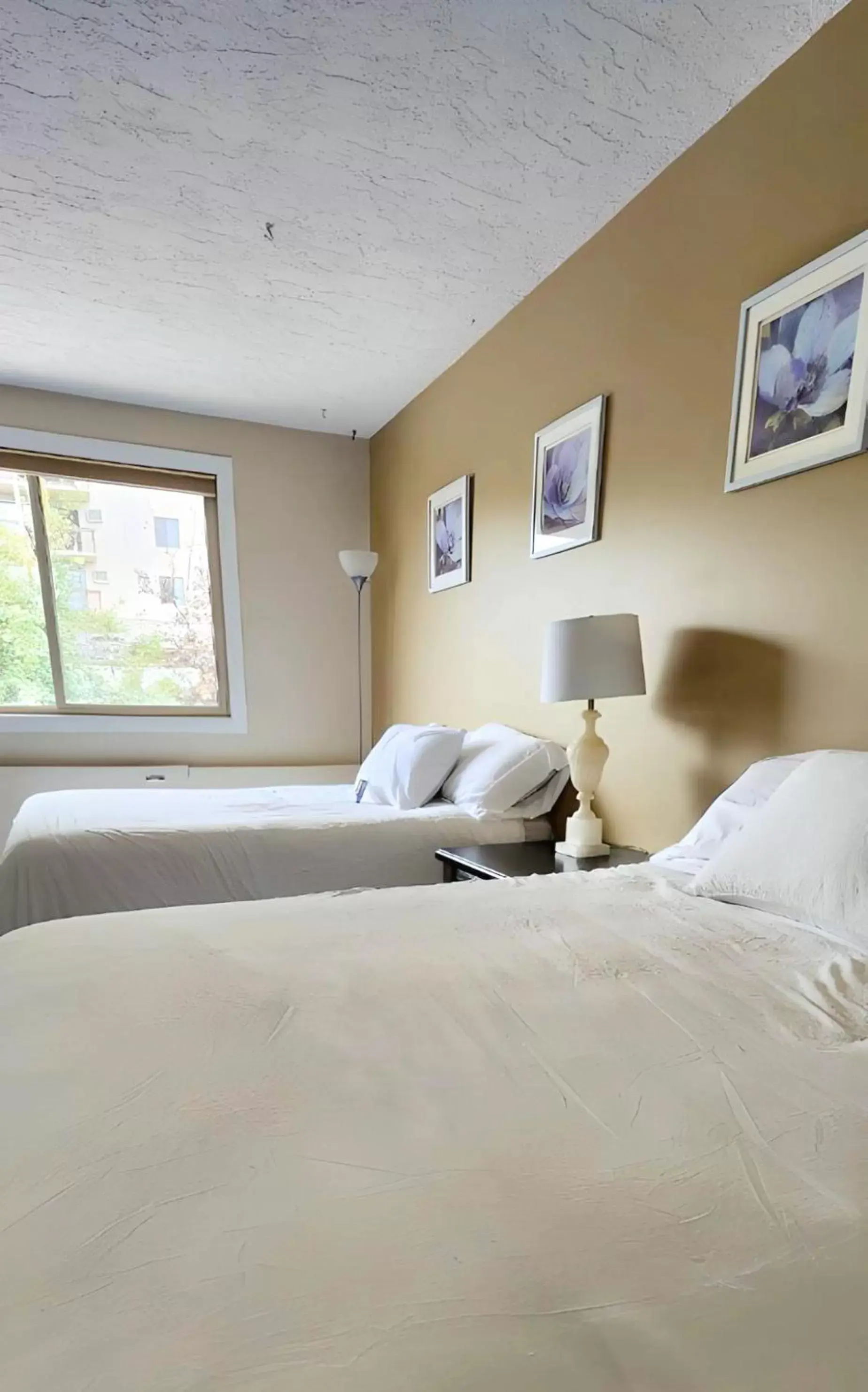 Bed in The Medicine Hat Villa Bed in The Medicine Hat Villa