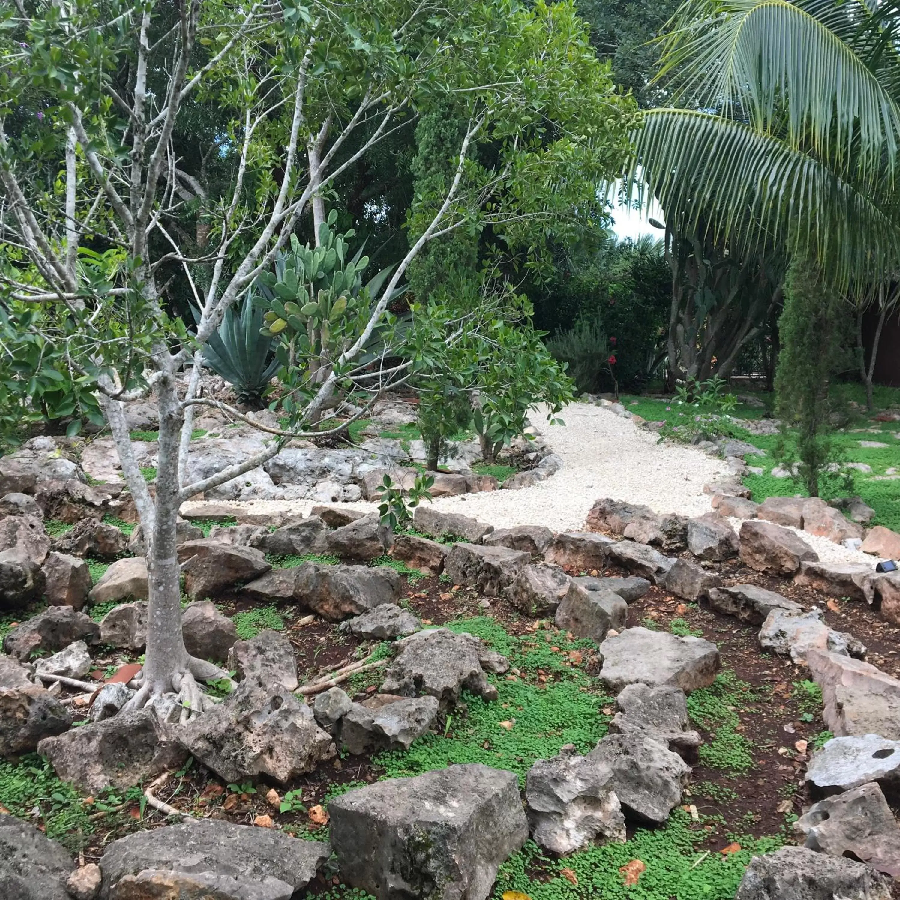 Natural landscape in The Pickled Onion Eco-Boutique B&B