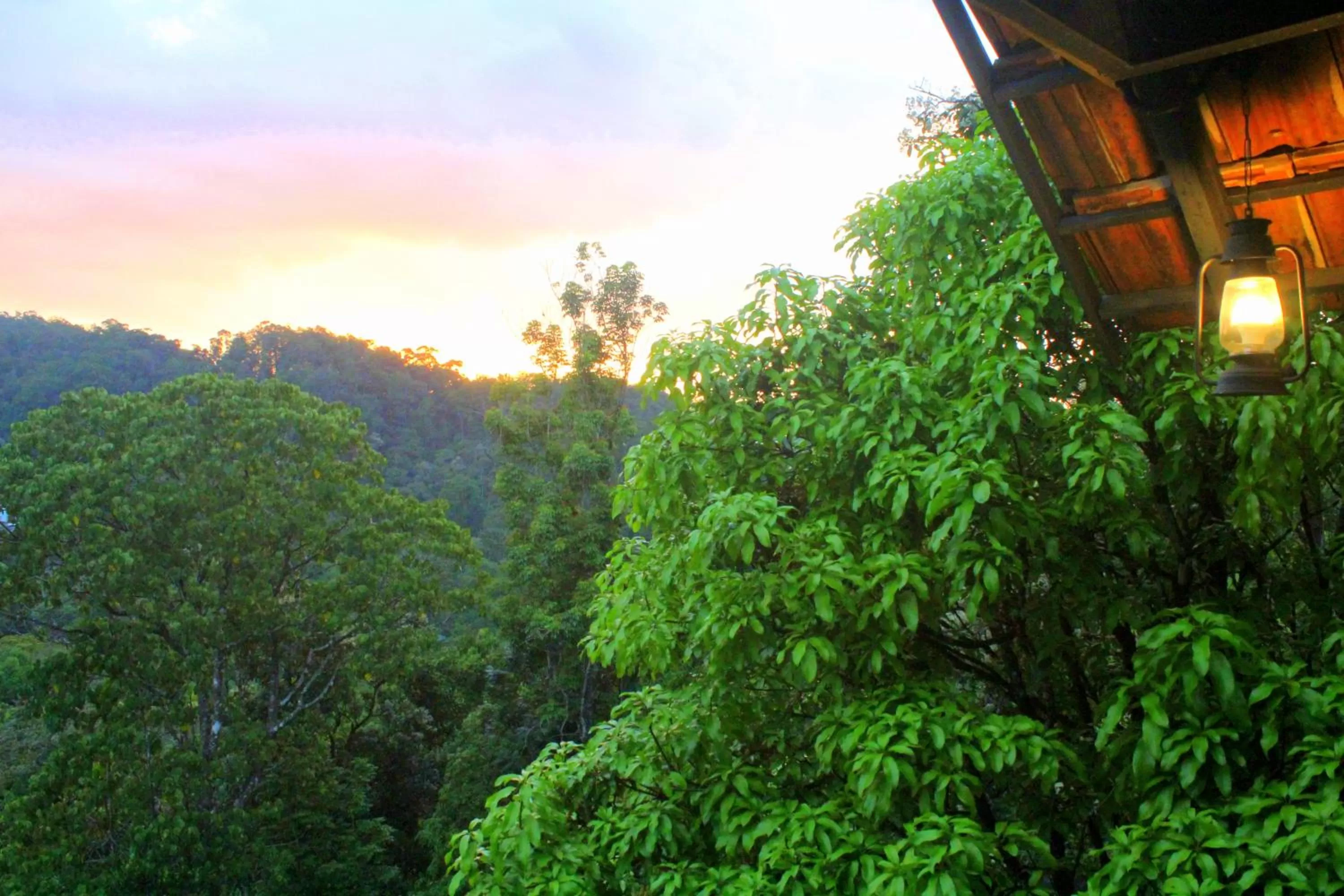 View (from property/room) in The Wild Trails Clarks Exotica , Munnar