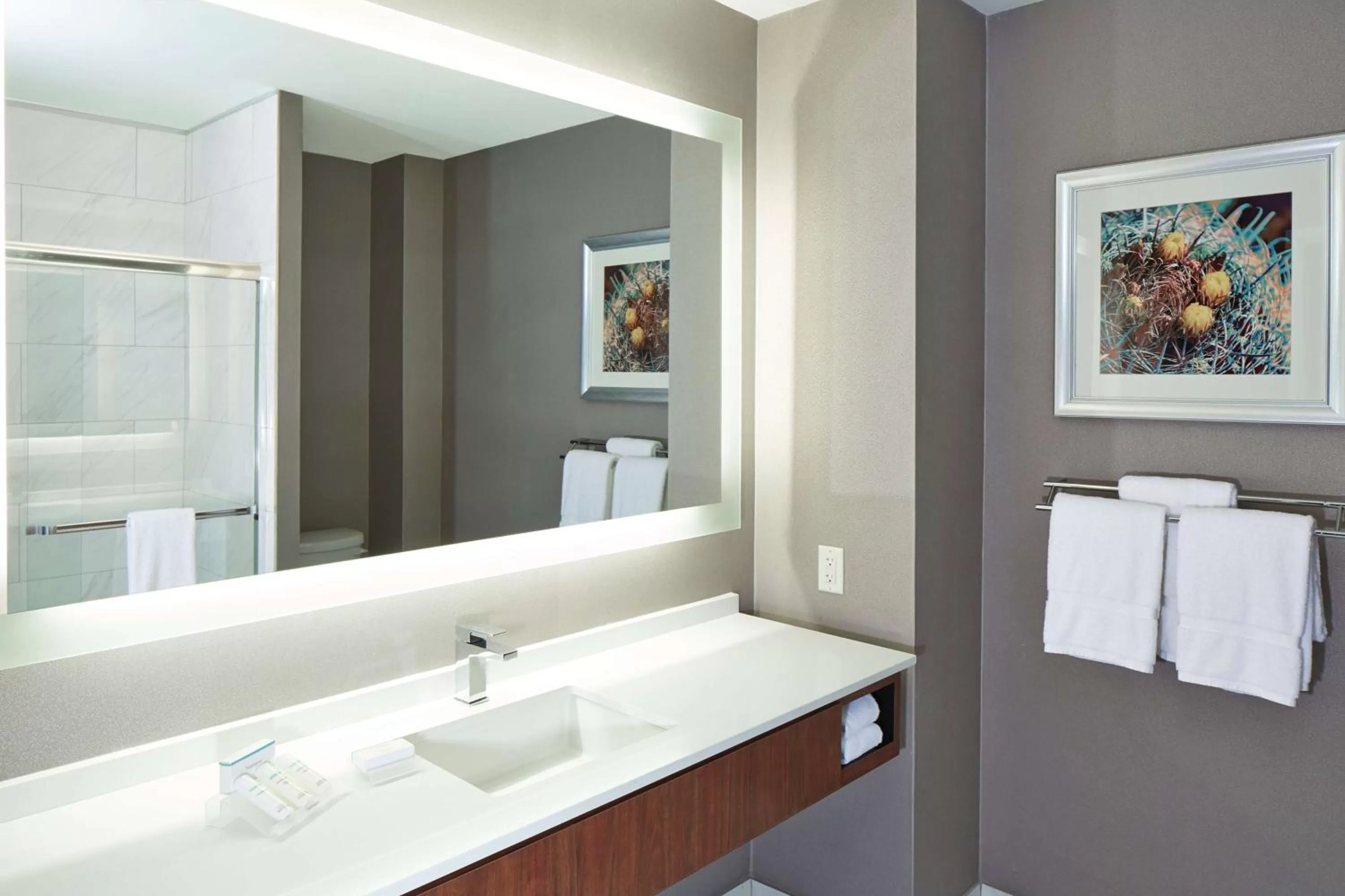 Bathroom in Hilton Garden Inn Phoenix Downtown