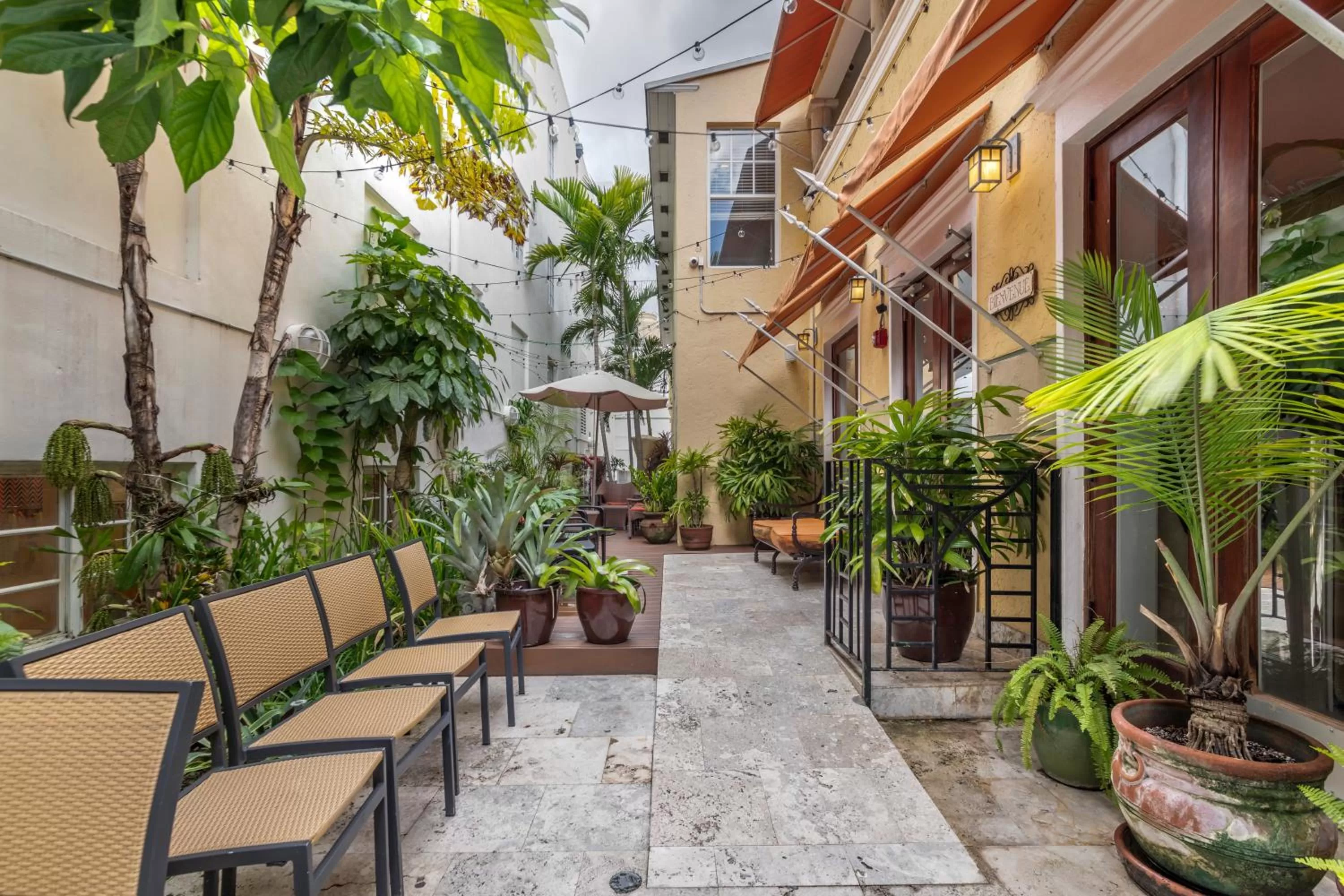 Garden in Hotel Impala by LuxUrban