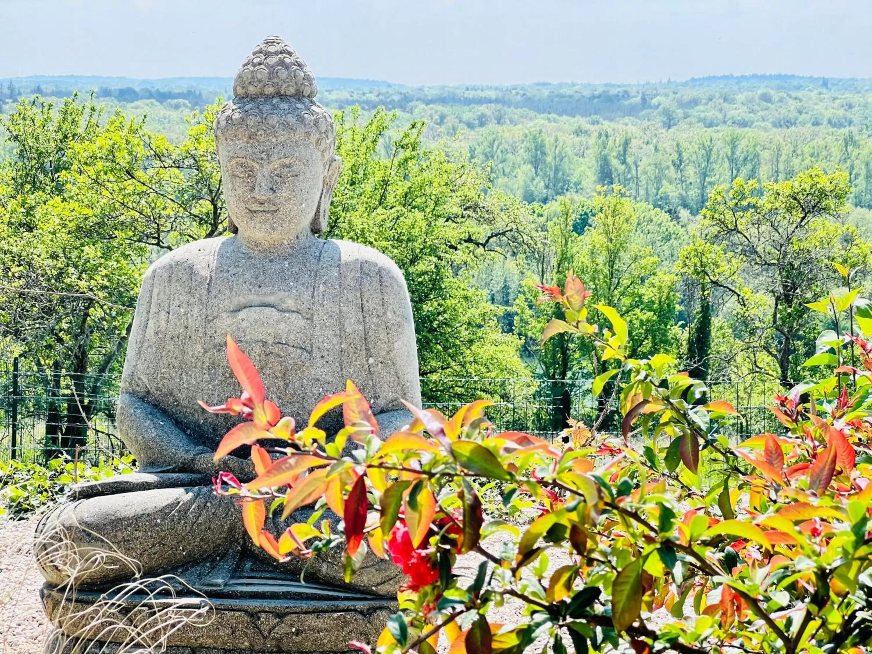 Natural landscape in résidence belle vue