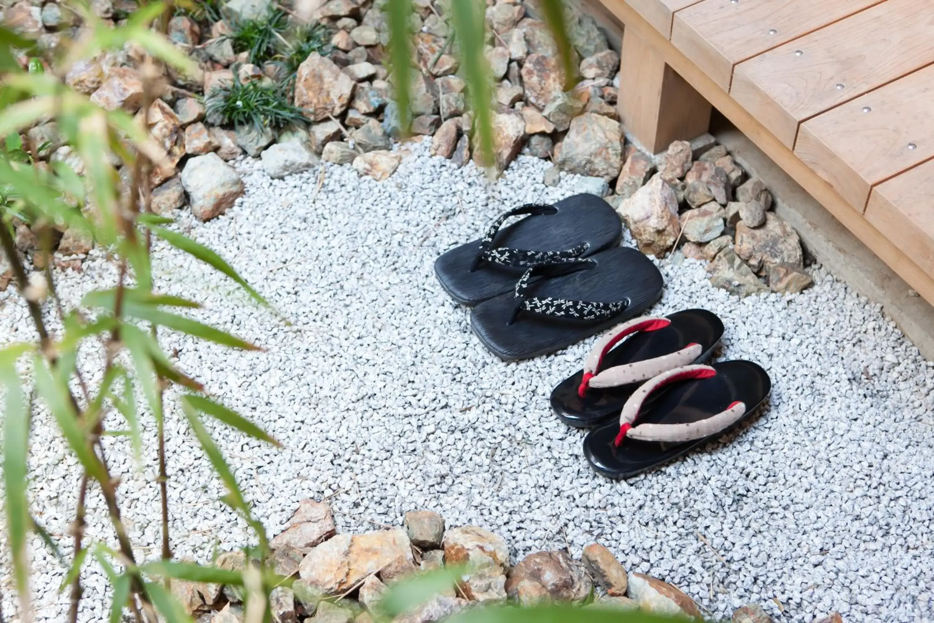 Garden in Rinn Nishiwakamatsu Garden in Rinn Nishiwakamatsu