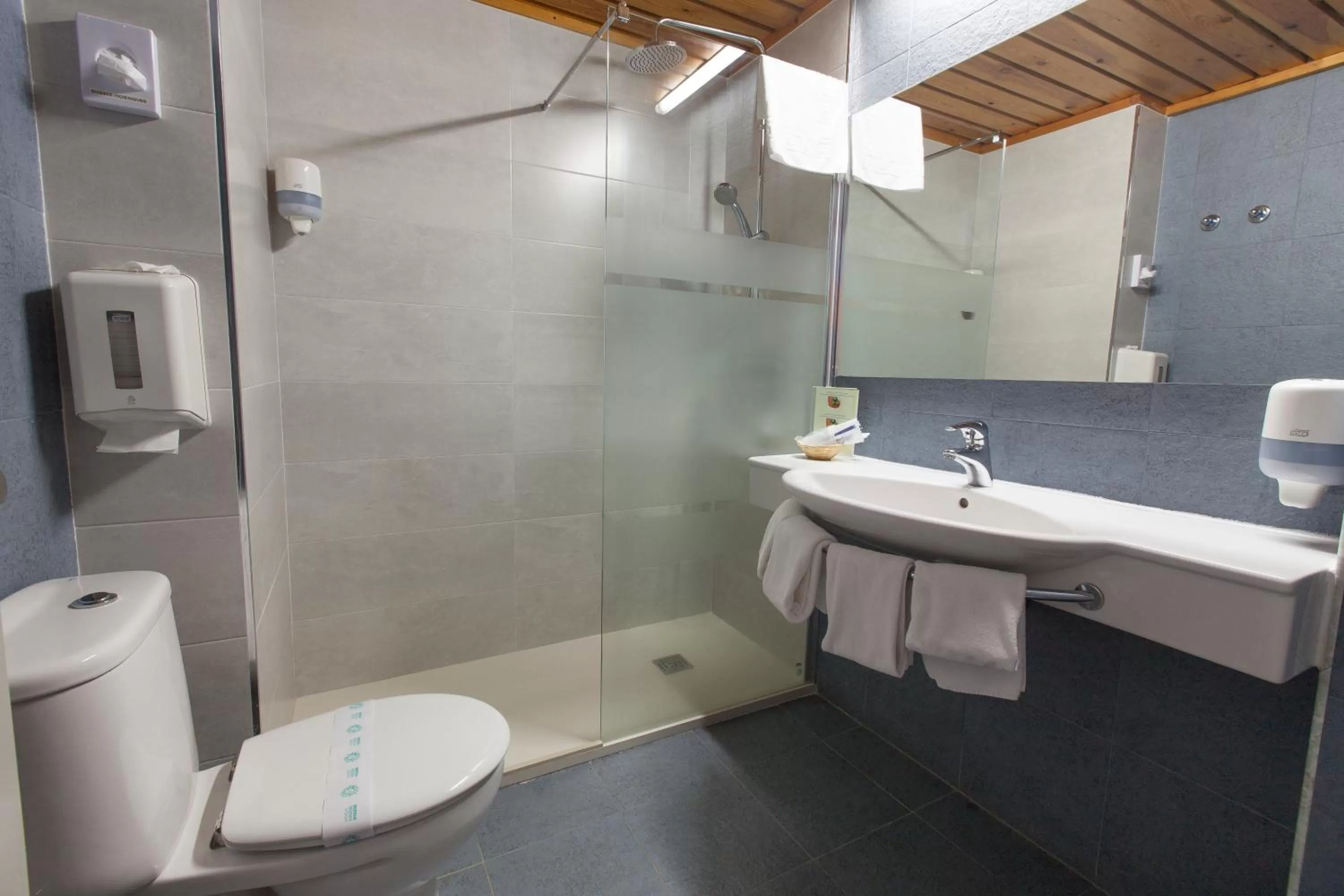 Shower in Hotel Restaurant Les Brases