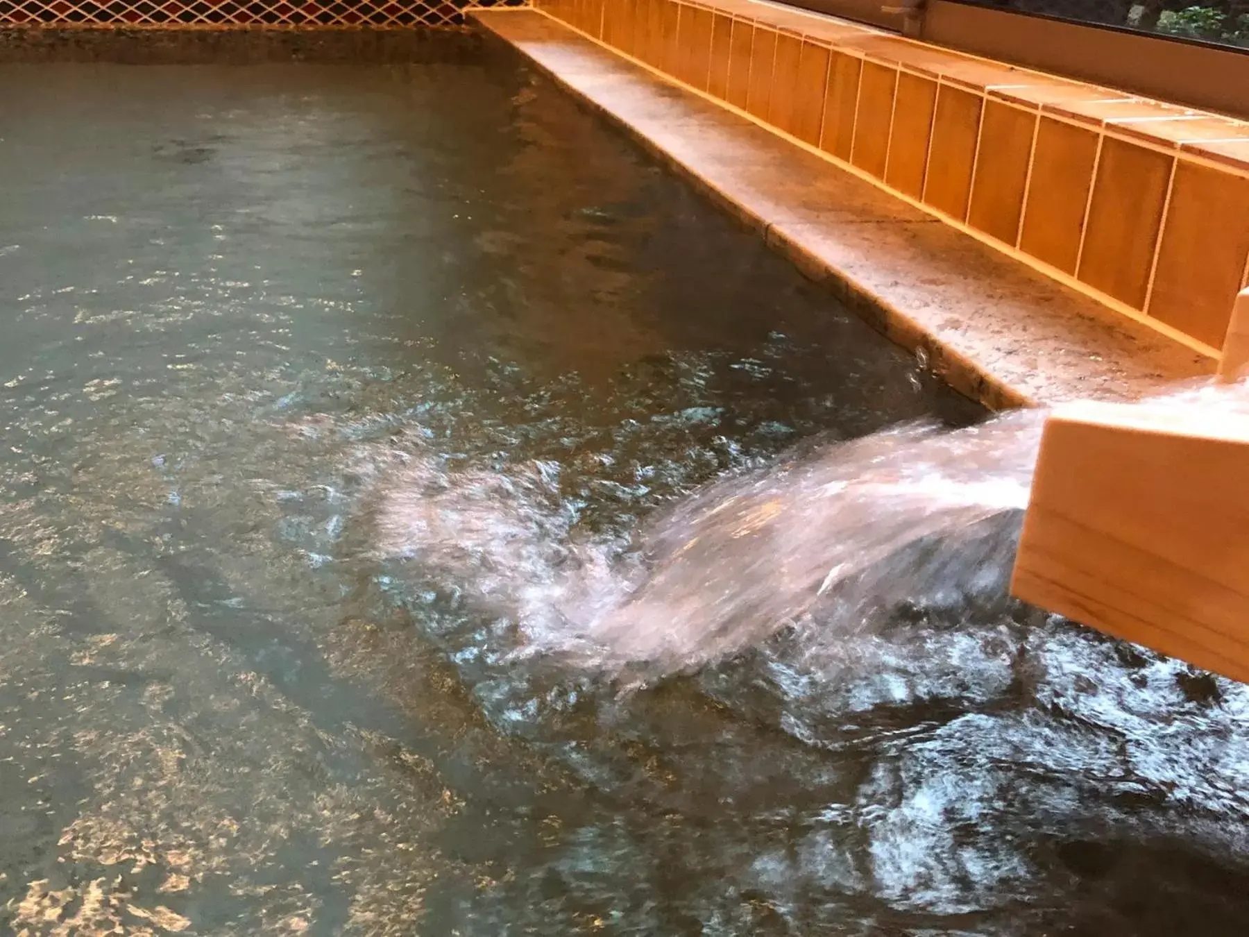 Hot Spring Bath, Other Animals in TABINO HOTEL Hida Takayama