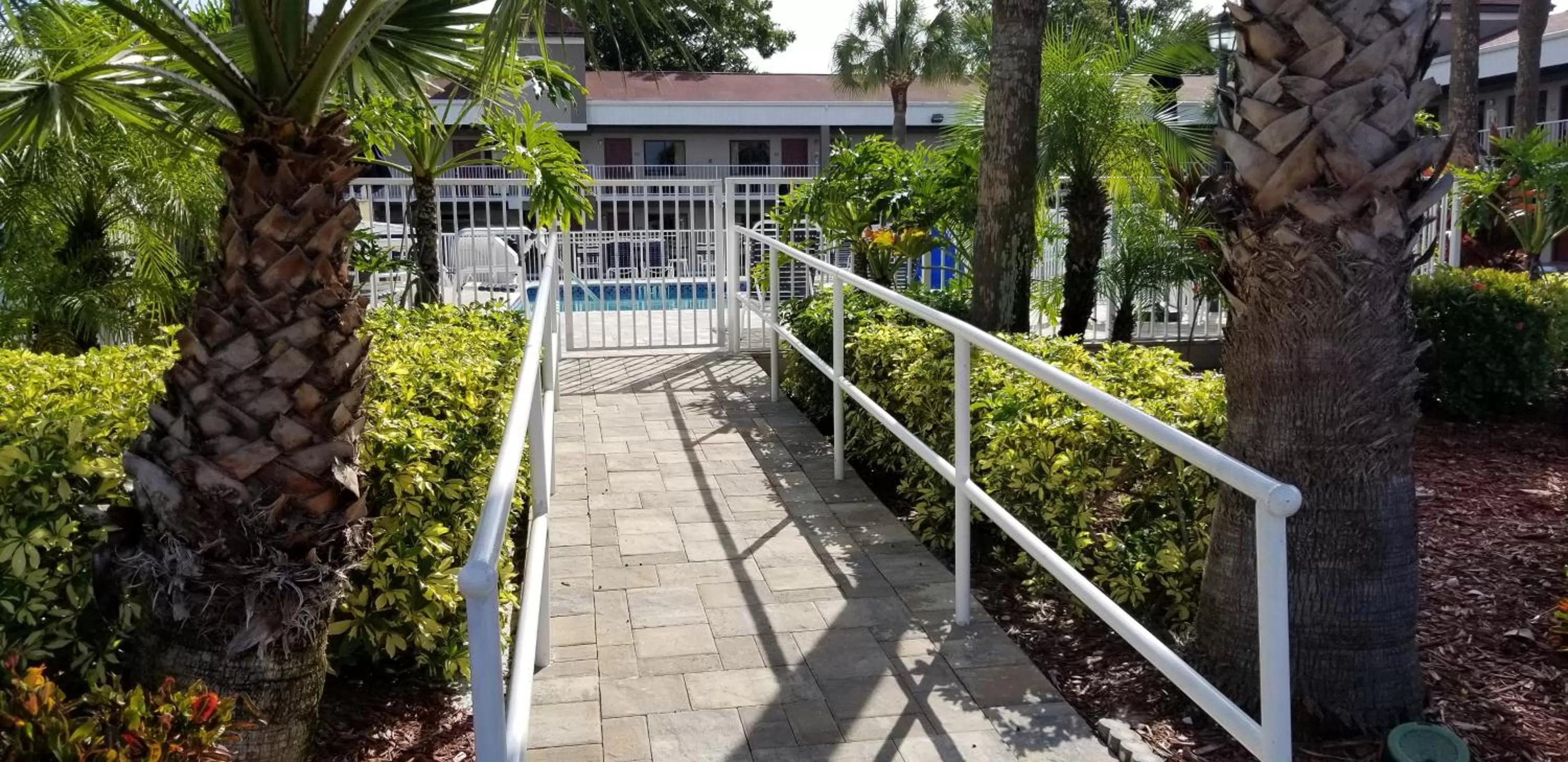 Swimming pool in Hotel South Tampa & Suites