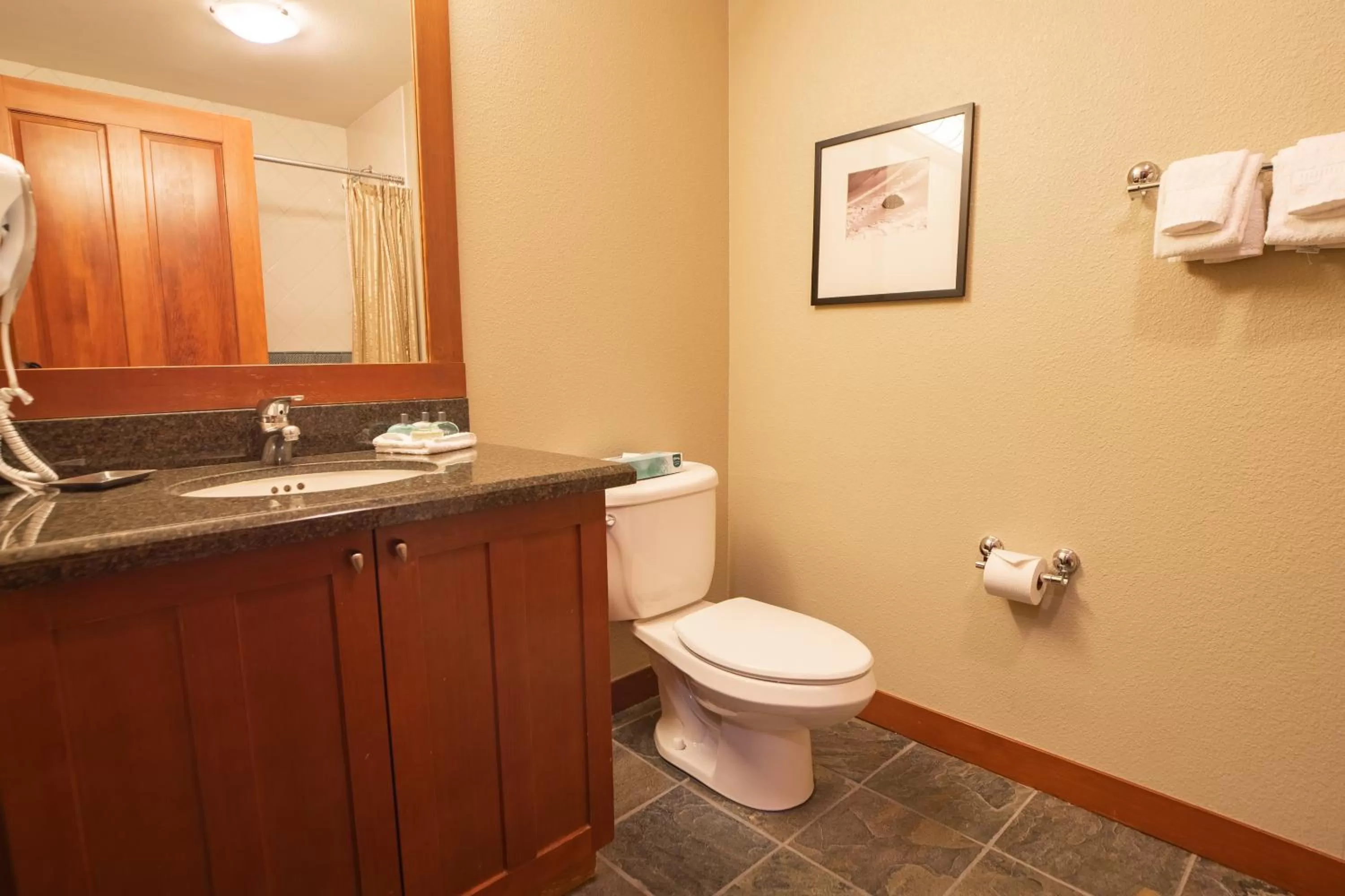 The Village at Palisades Tahoe