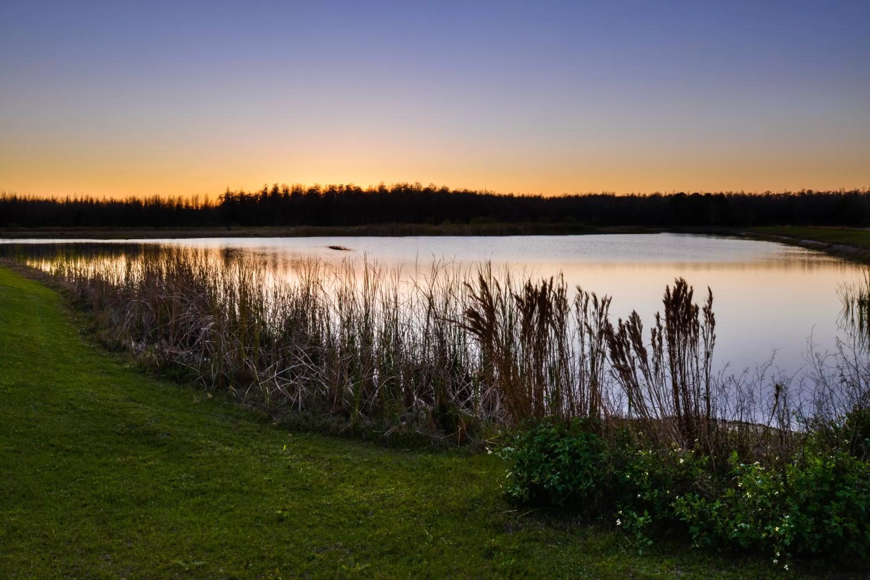 Other in Holiday Inn Express & Suites Trinity by IHG