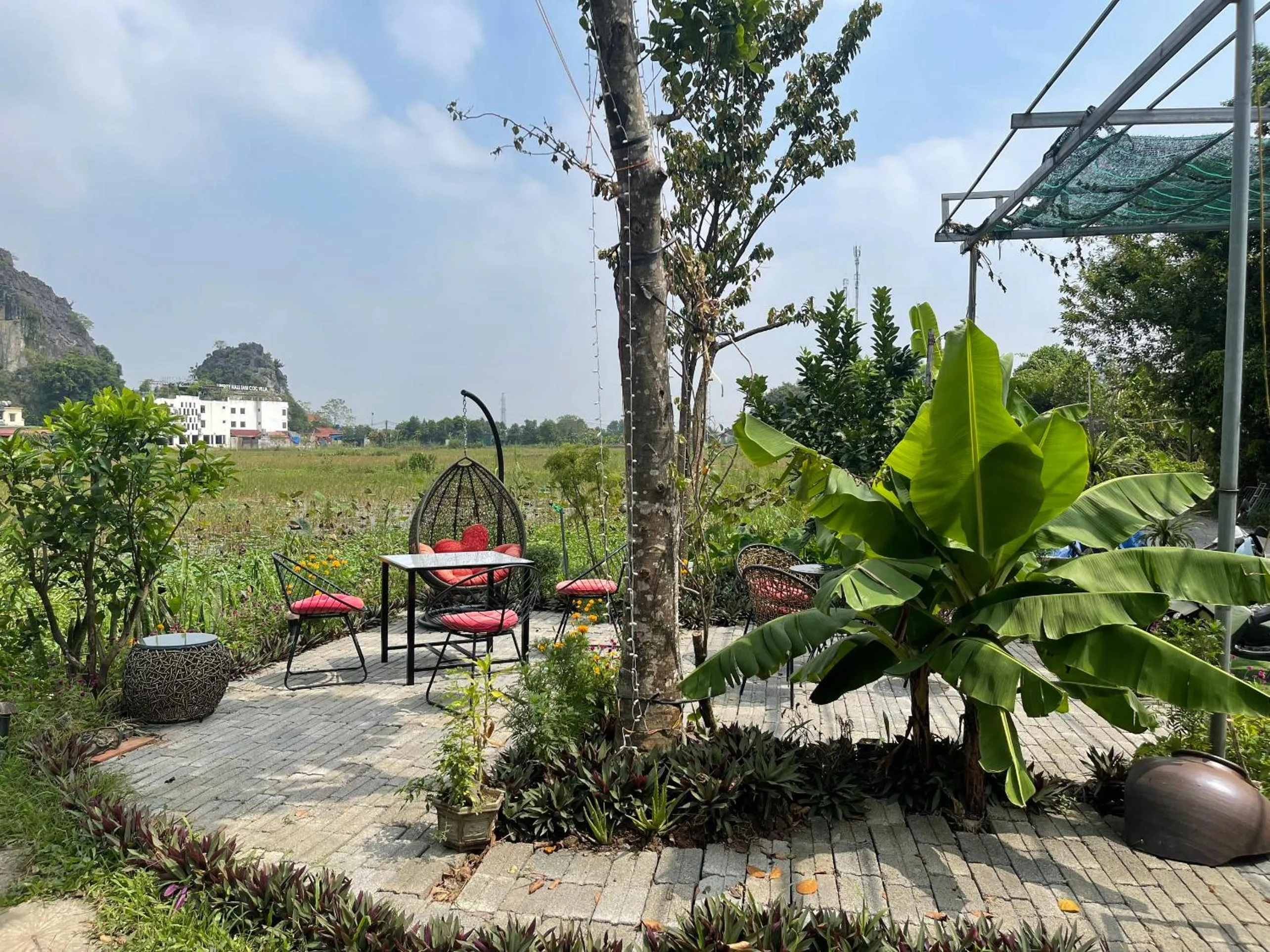 Tam Coc Mountain View Homestay