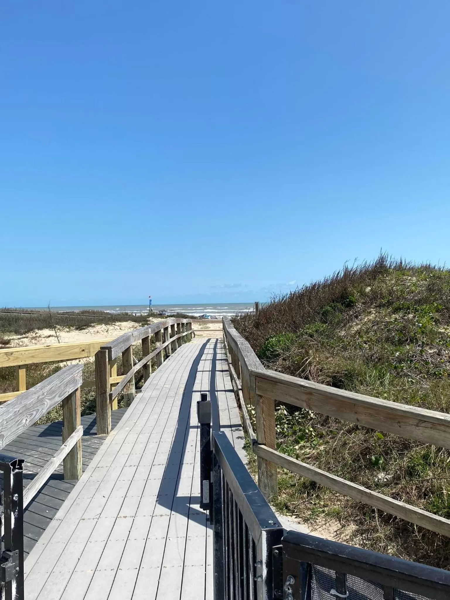 Natural landscape in Margaritaville Beach Resort South Padre Island