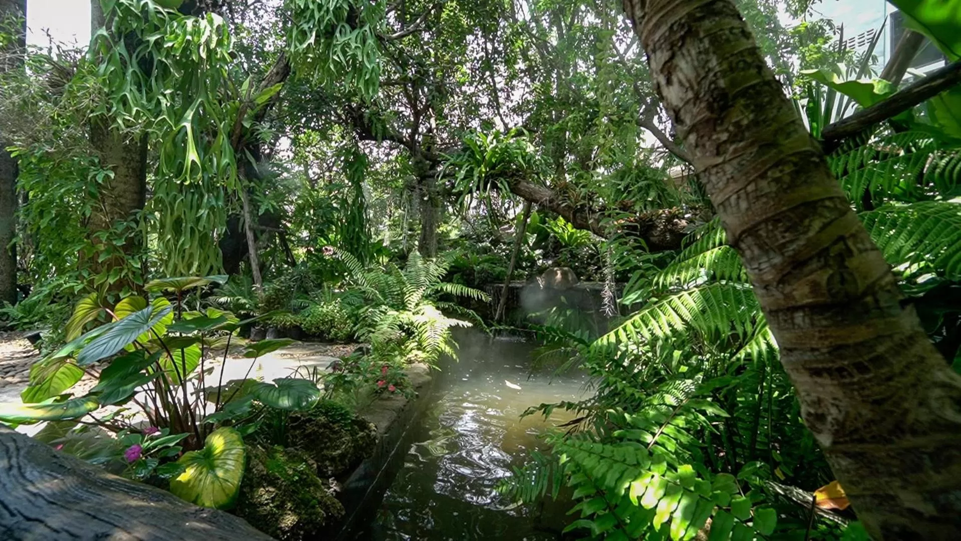 Day in Sareeviengping Hotel Chiangmai