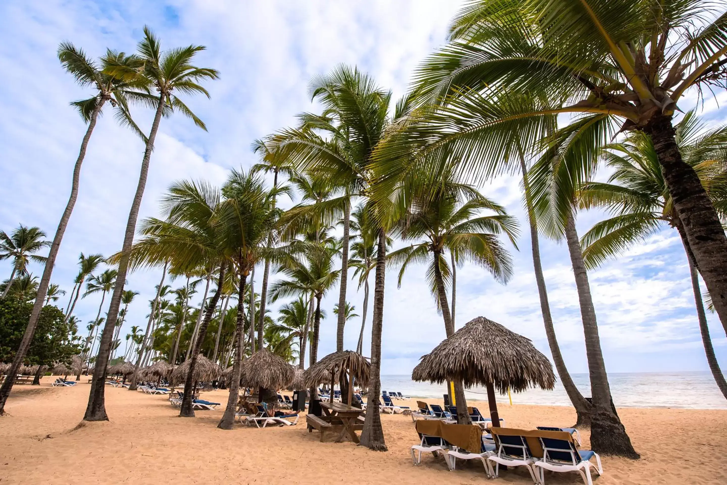 Beach in Grand Sirenis Punta Cana Resort & Aquagames - All Inclusive
