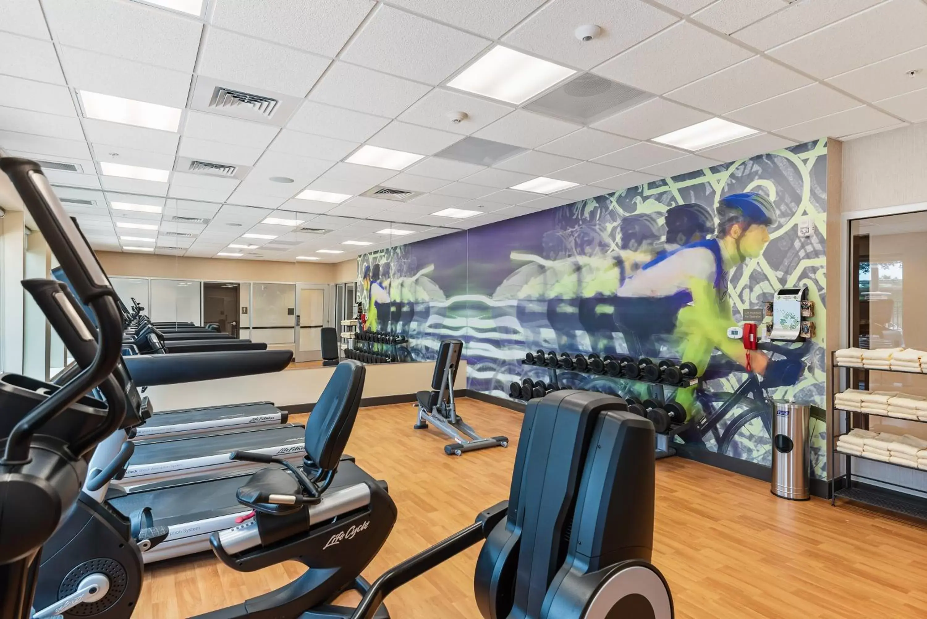 Fitness centre/facilities, Fitness Center/Facilities in Hyatt Place Tampa/Wesley Chapel