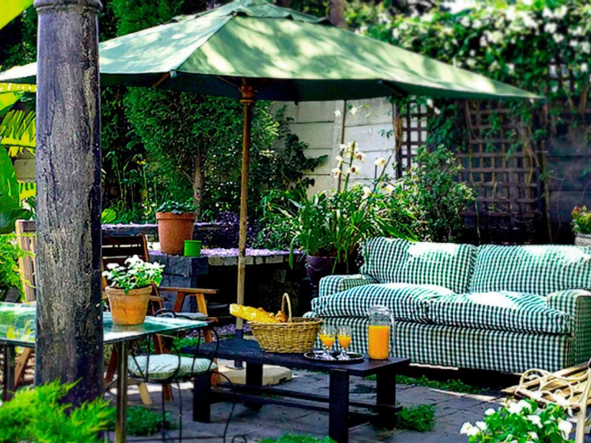 Garden in Craighall Garden Guest House