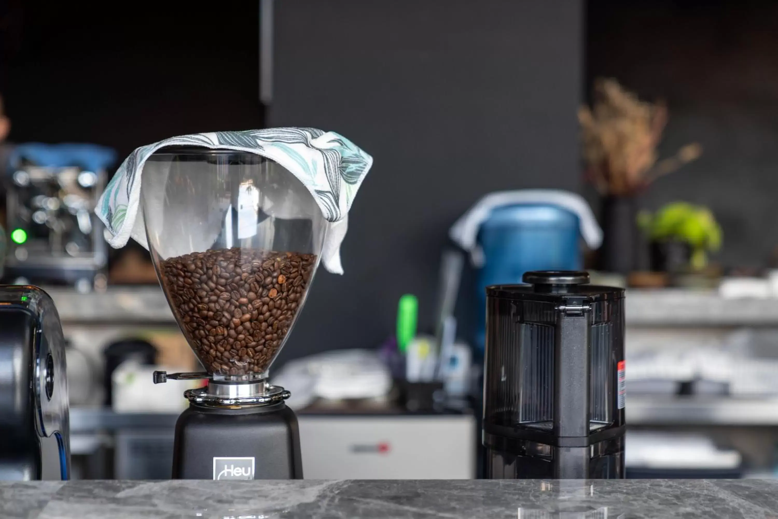 Restaurant/places to eat in H Hotel El Nido - Vegan Friendly Hotel Managed by H Hospitality Group Restaurant/places to eat in H Hotel El Nido - Vegan Friendly Hotel Managed by H Hospitality Group