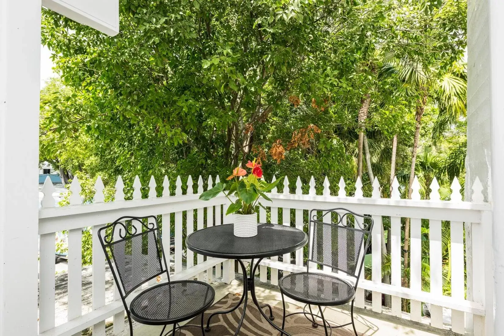 Garden view in Old Town Manor