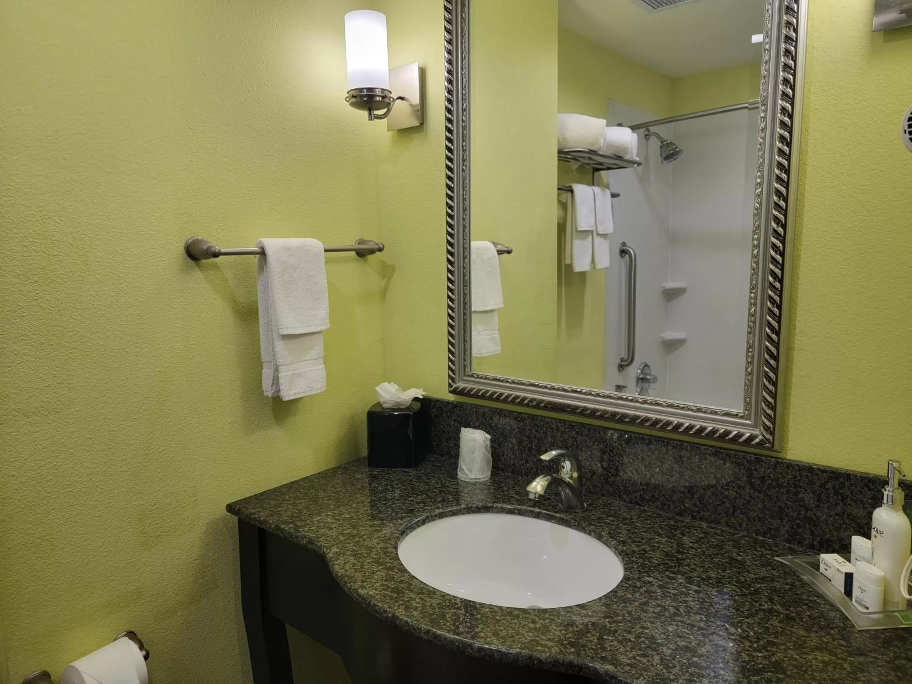 Photo of the whole room, Bathroom in Holiday Inn Garland, an IHG Hotel