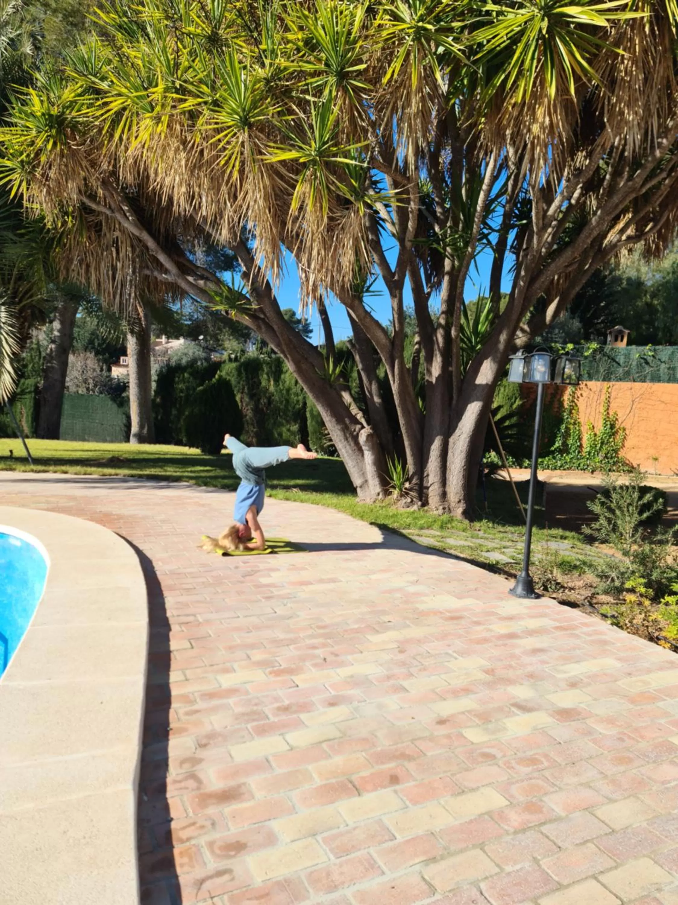 Spring in Finca la Yuca