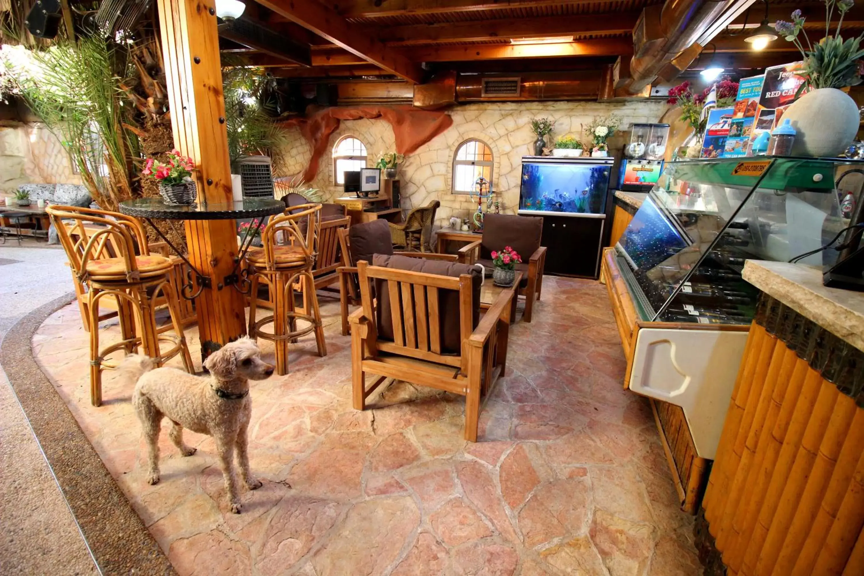 Pets in Sunset Inn