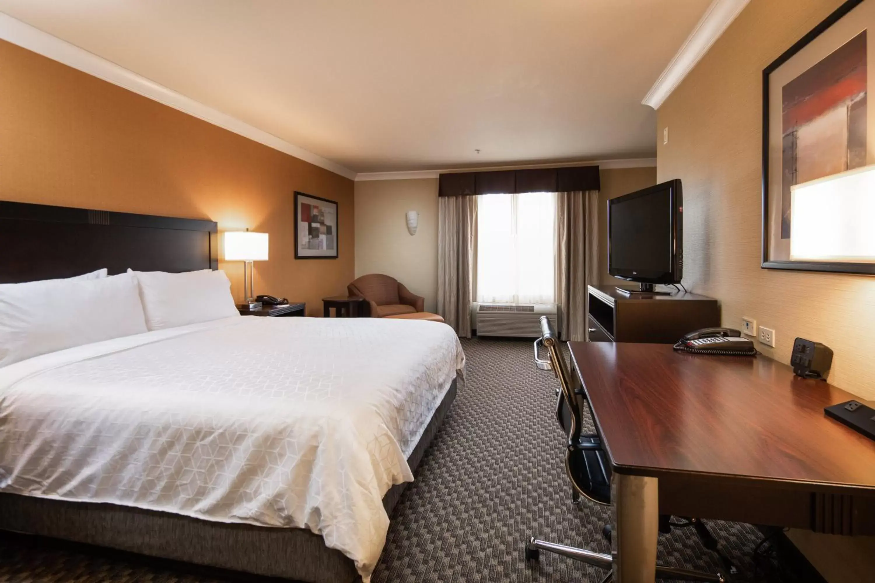 Photo of the whole room in Holiday Inn Express Castro Valley, an IHG Hotel