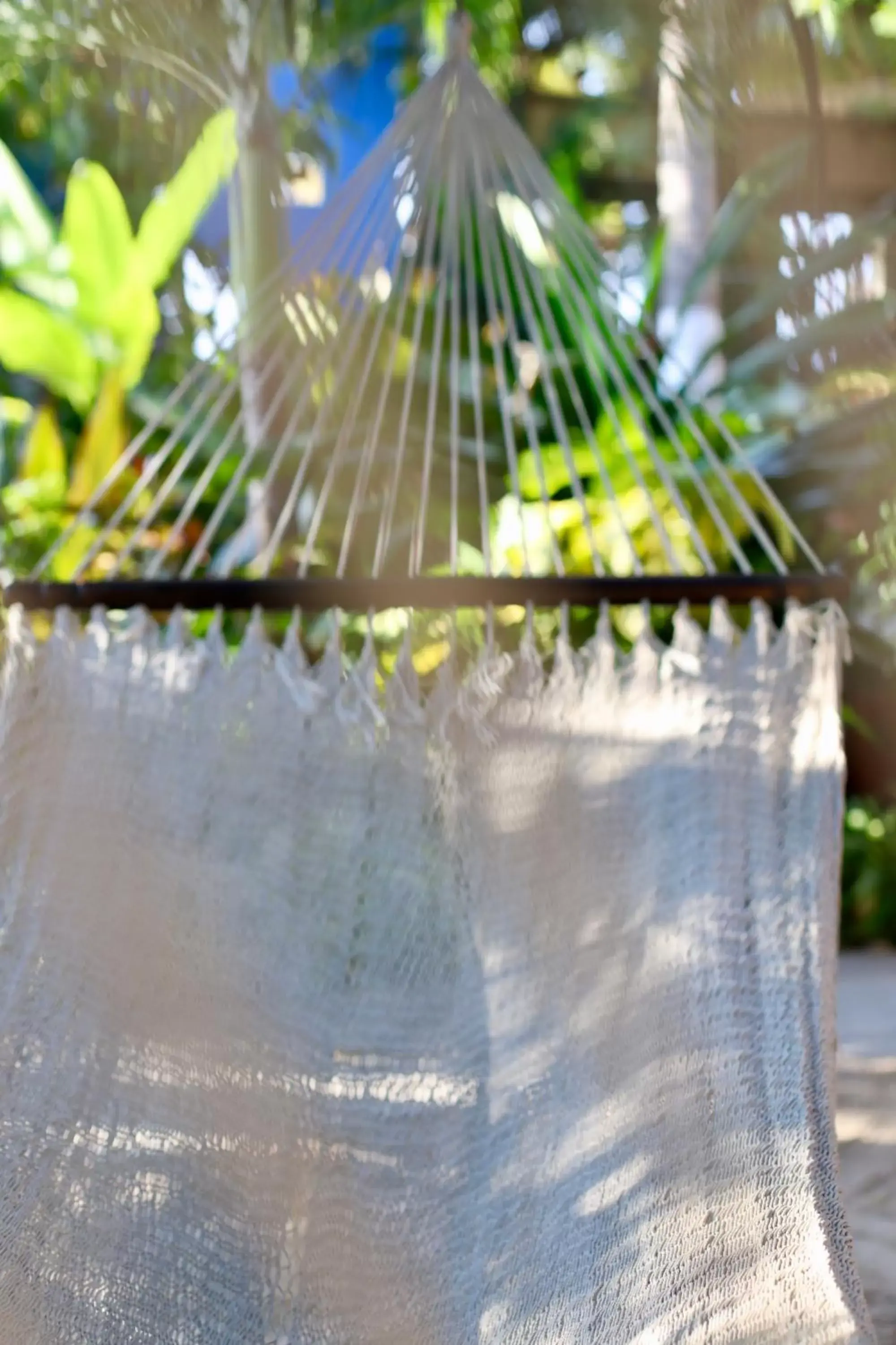 Patio, Swimming Pool in Hotel Meson de Mita