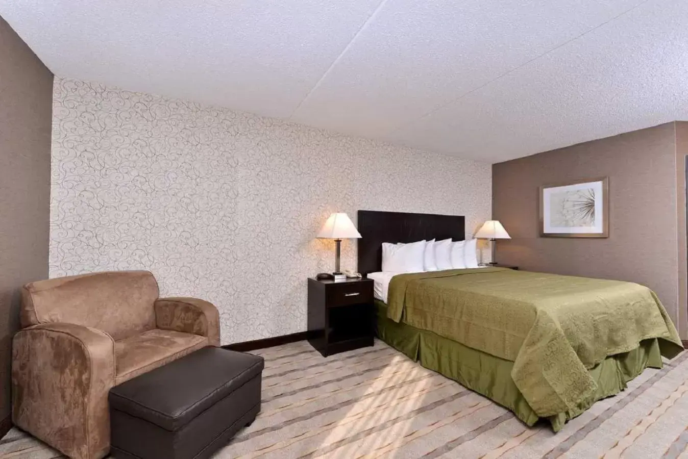 King Room in Quality Inn & Suites Matteson near I-57