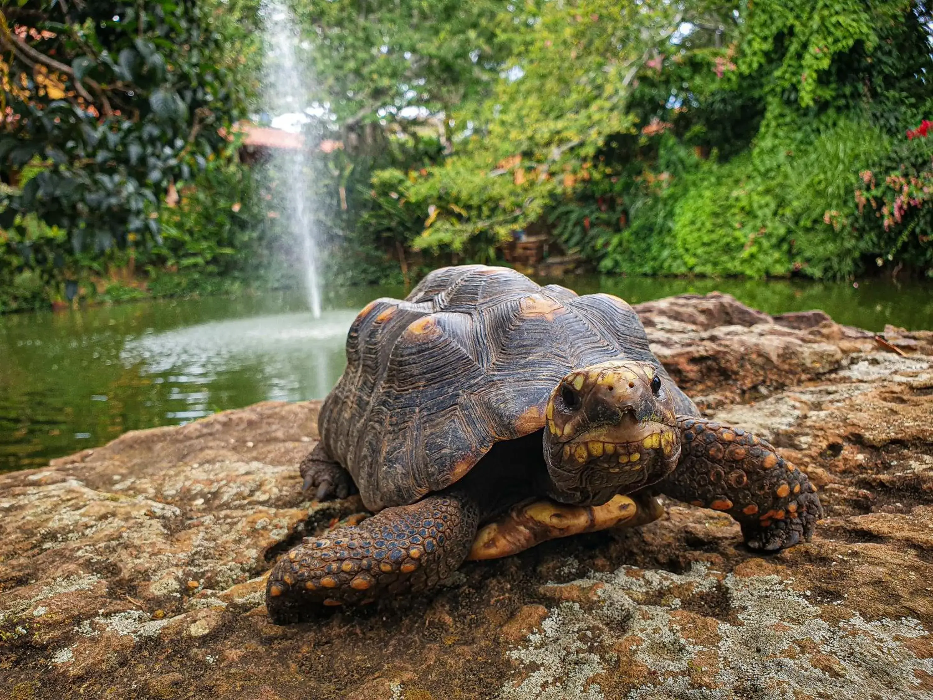 Lake view, Other Animals in Hotel Terra Barichara