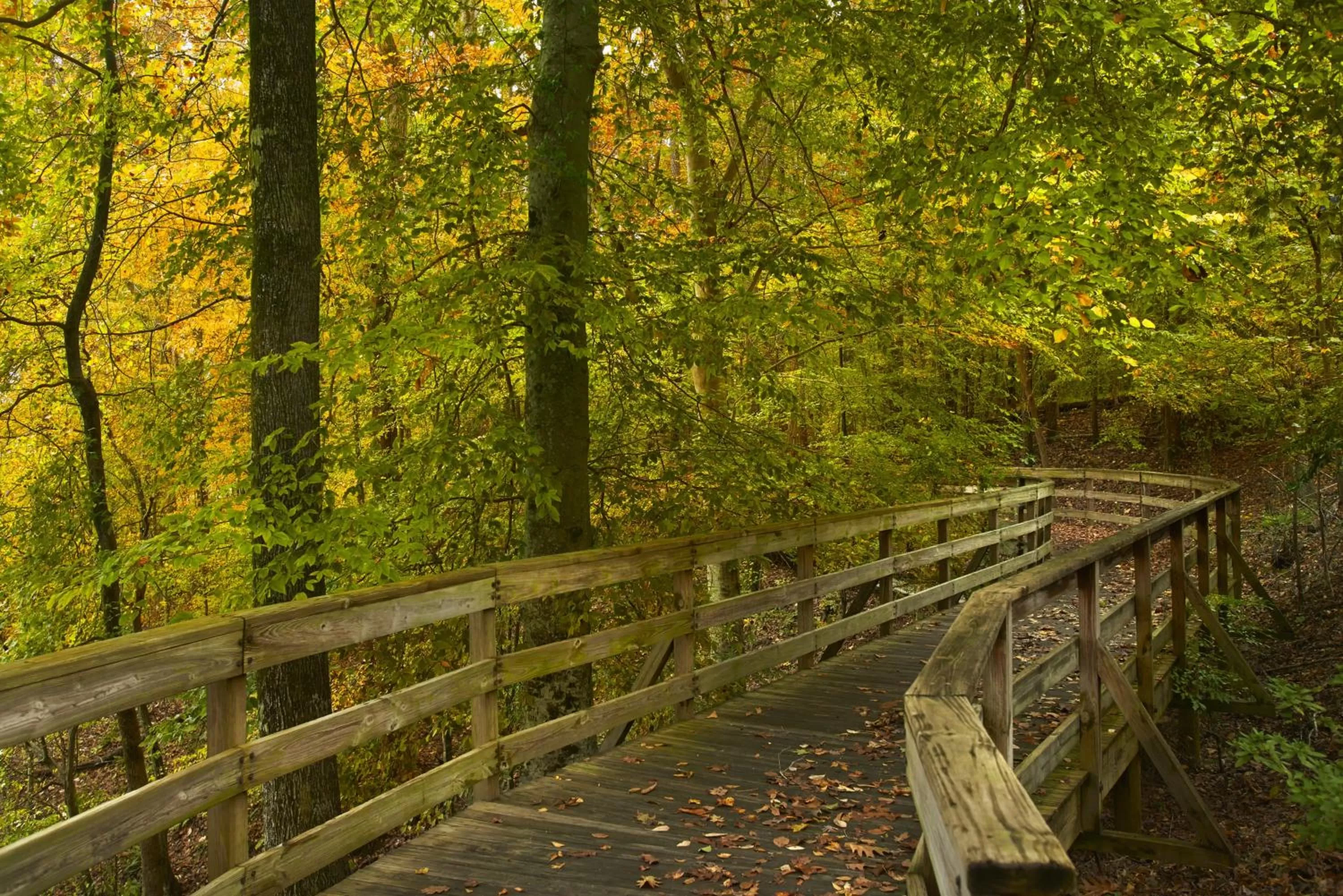Natural landscape in Atlanta Evergreen Lakeside Resort