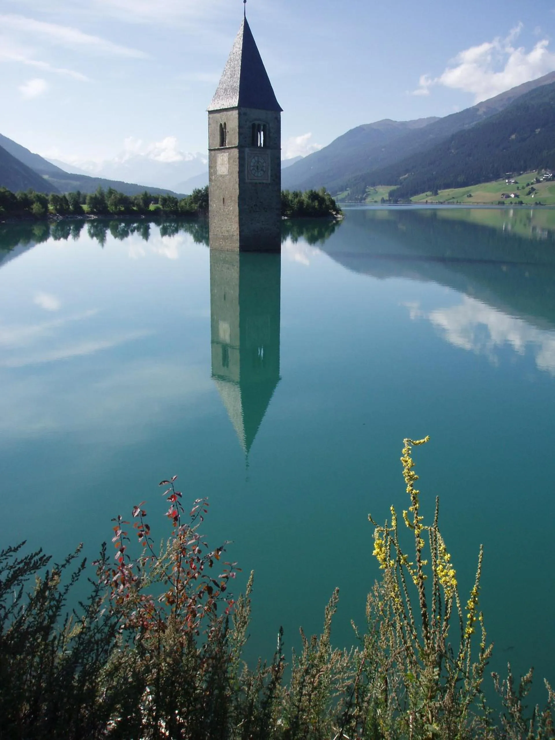 Natural landscape in Hotel Erika