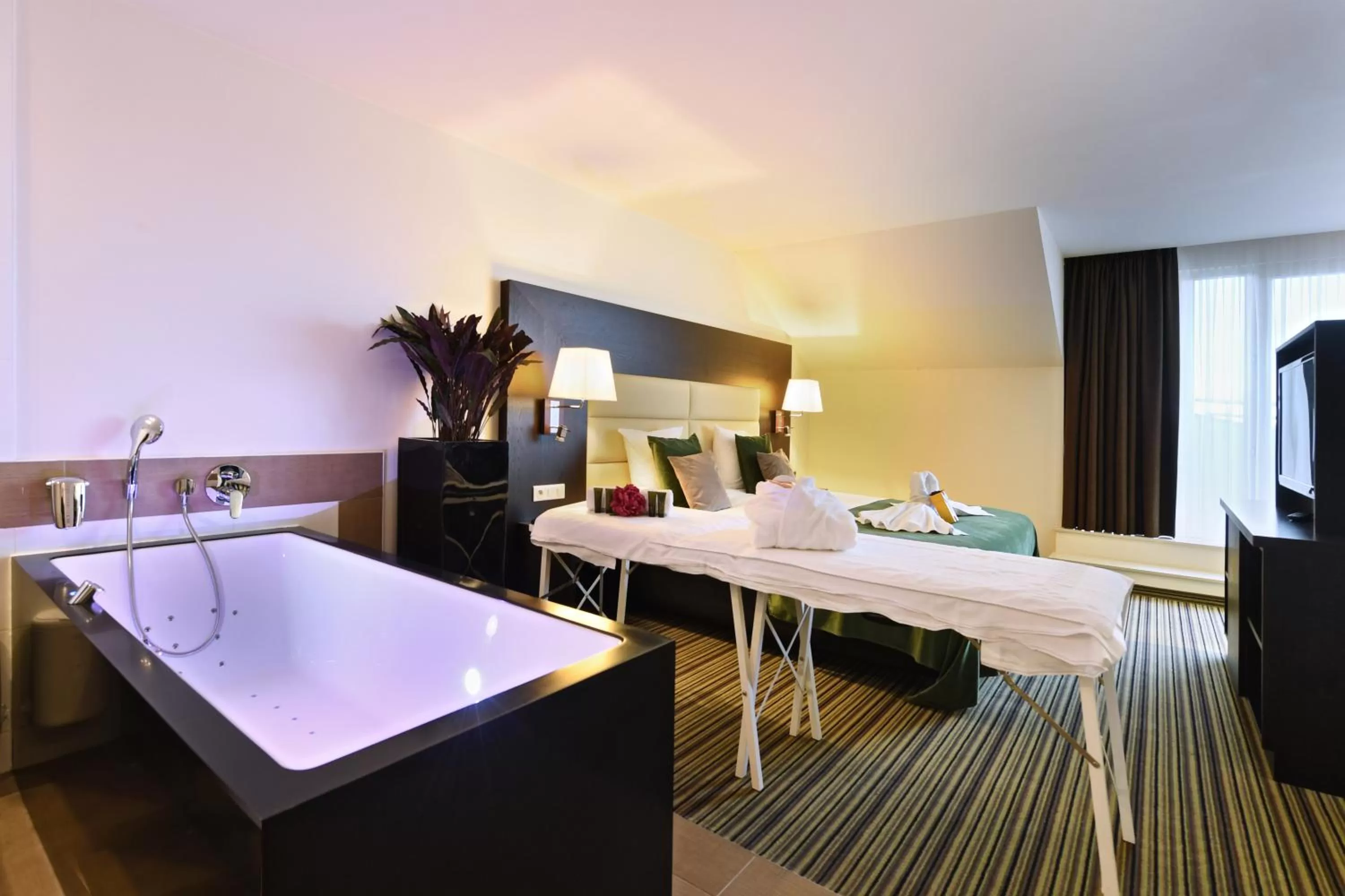 Suite with Sauna in Hotel Charleroi Airport - Van Der Valk