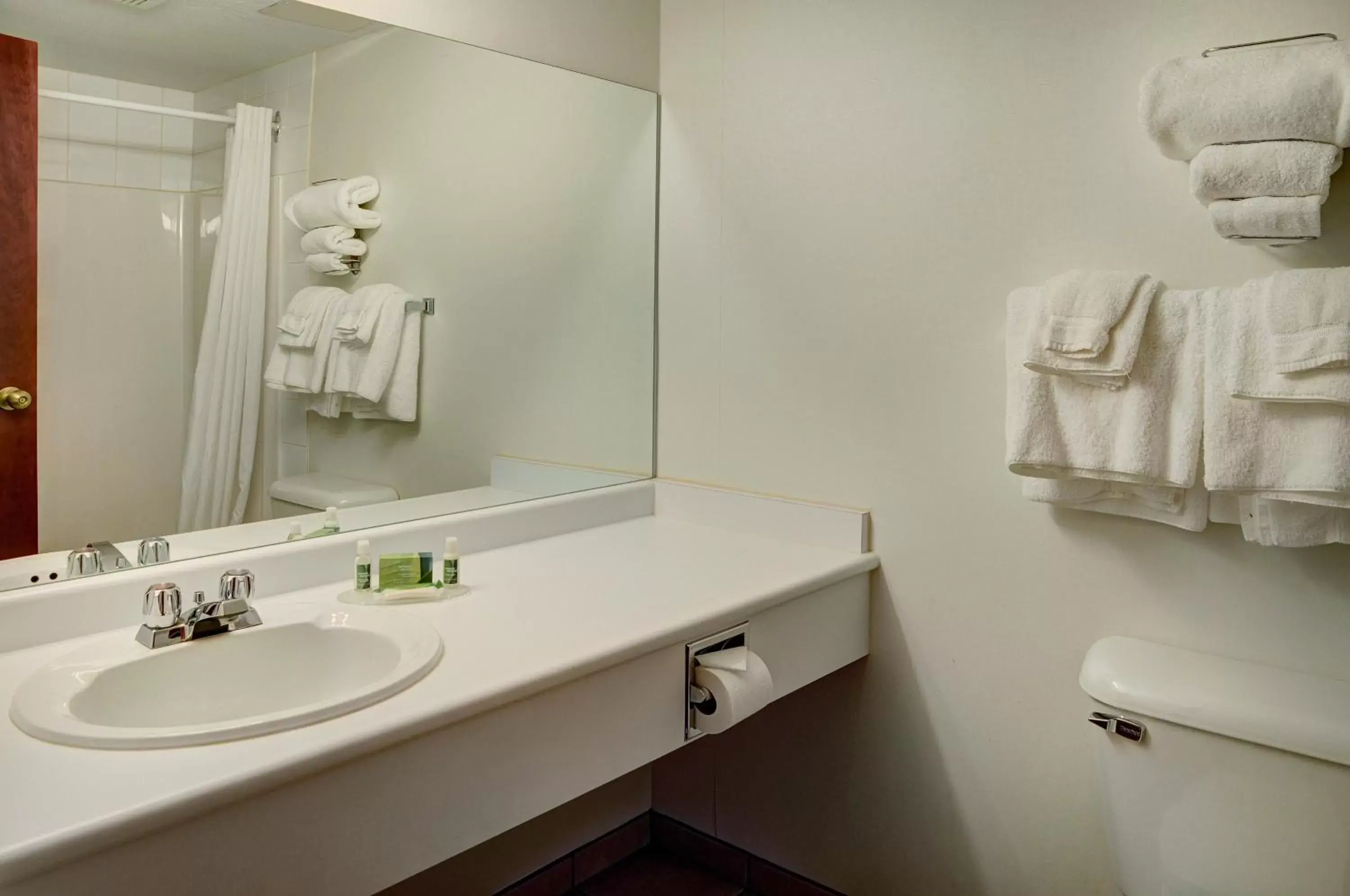 Shower, Bathroom in Lakeview Inns & Suites - Fort Saskatchewan