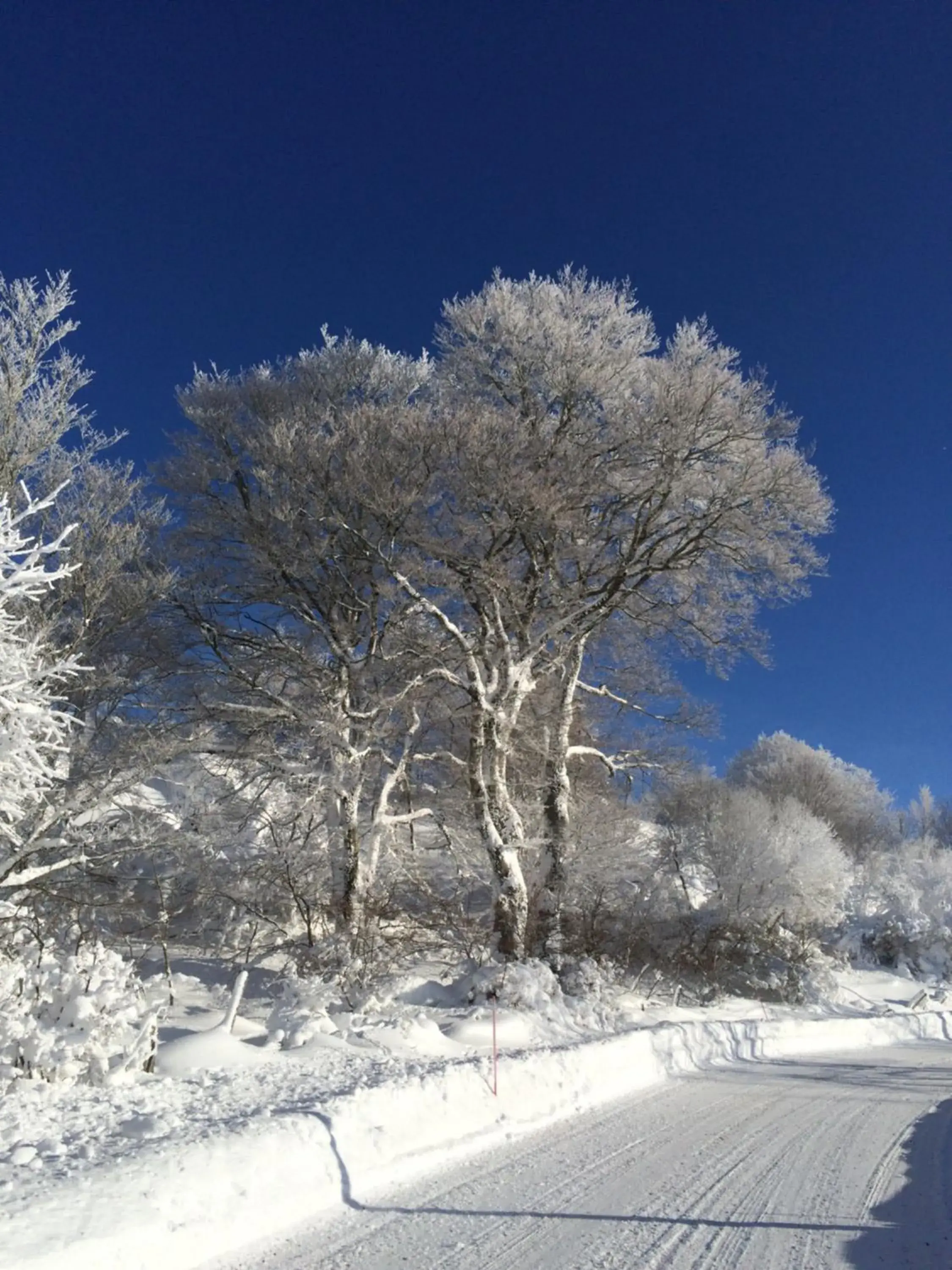 Winter in Logis Hôtel Les Coudercous