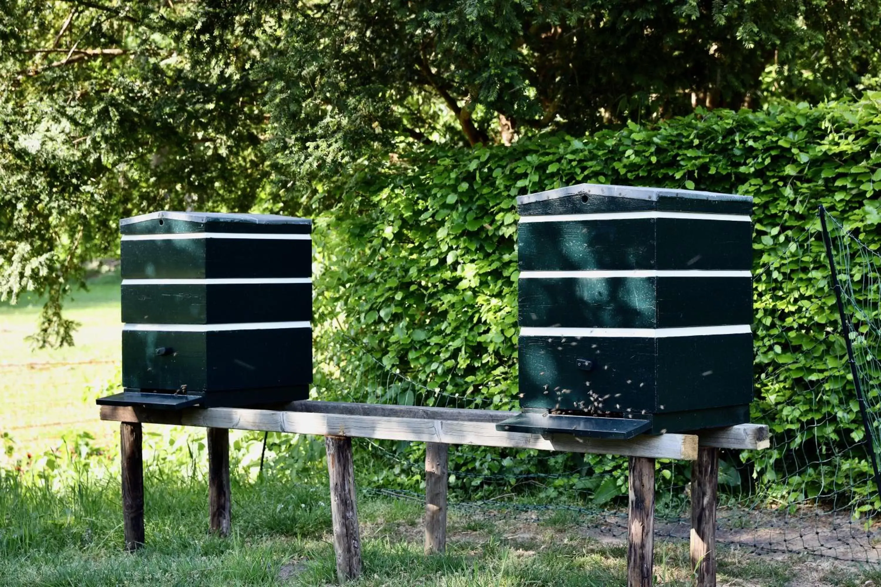 BBQ Facilities in de Lochemse Berg