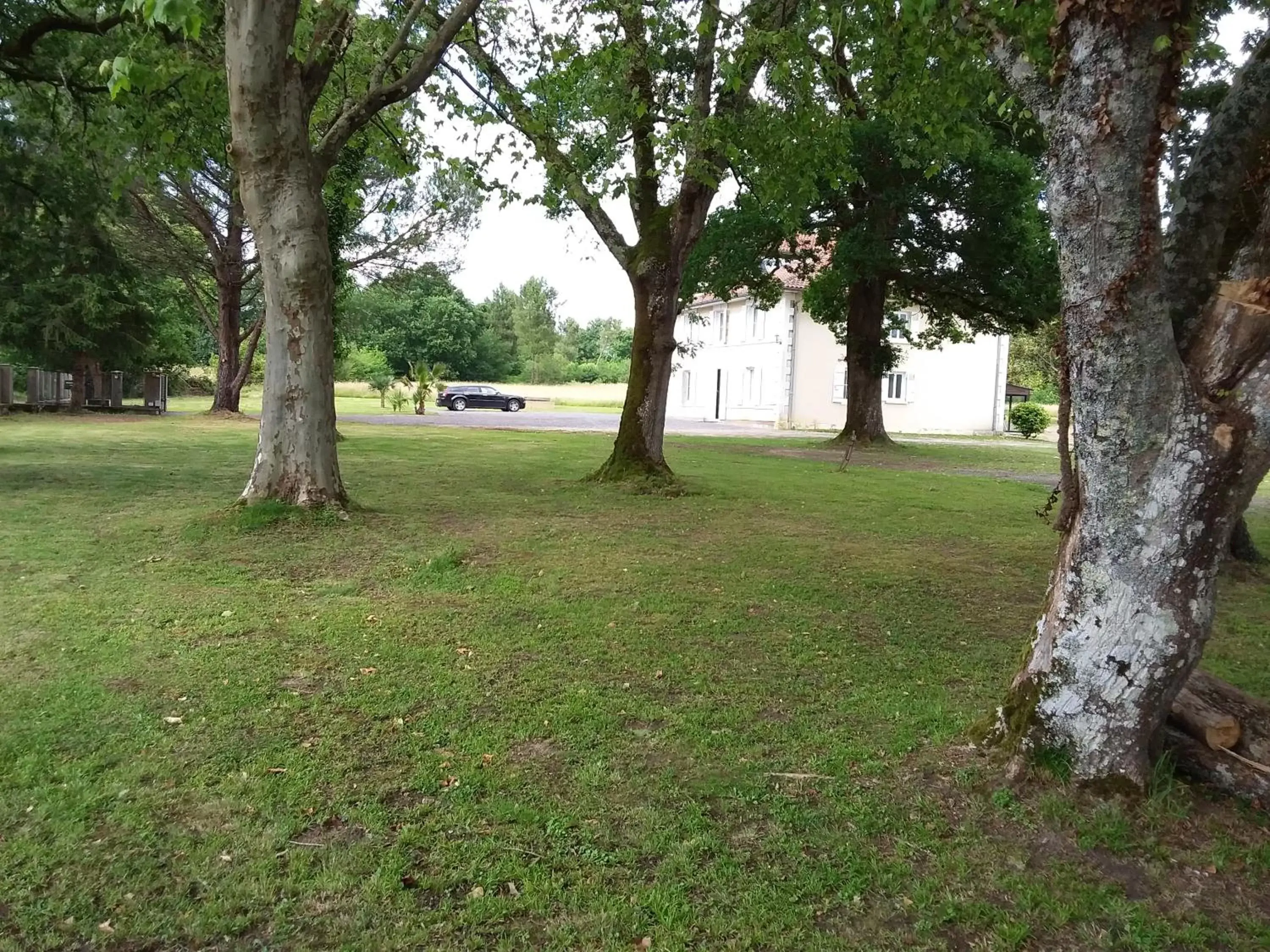 Garden in maison d'hôtes labastide