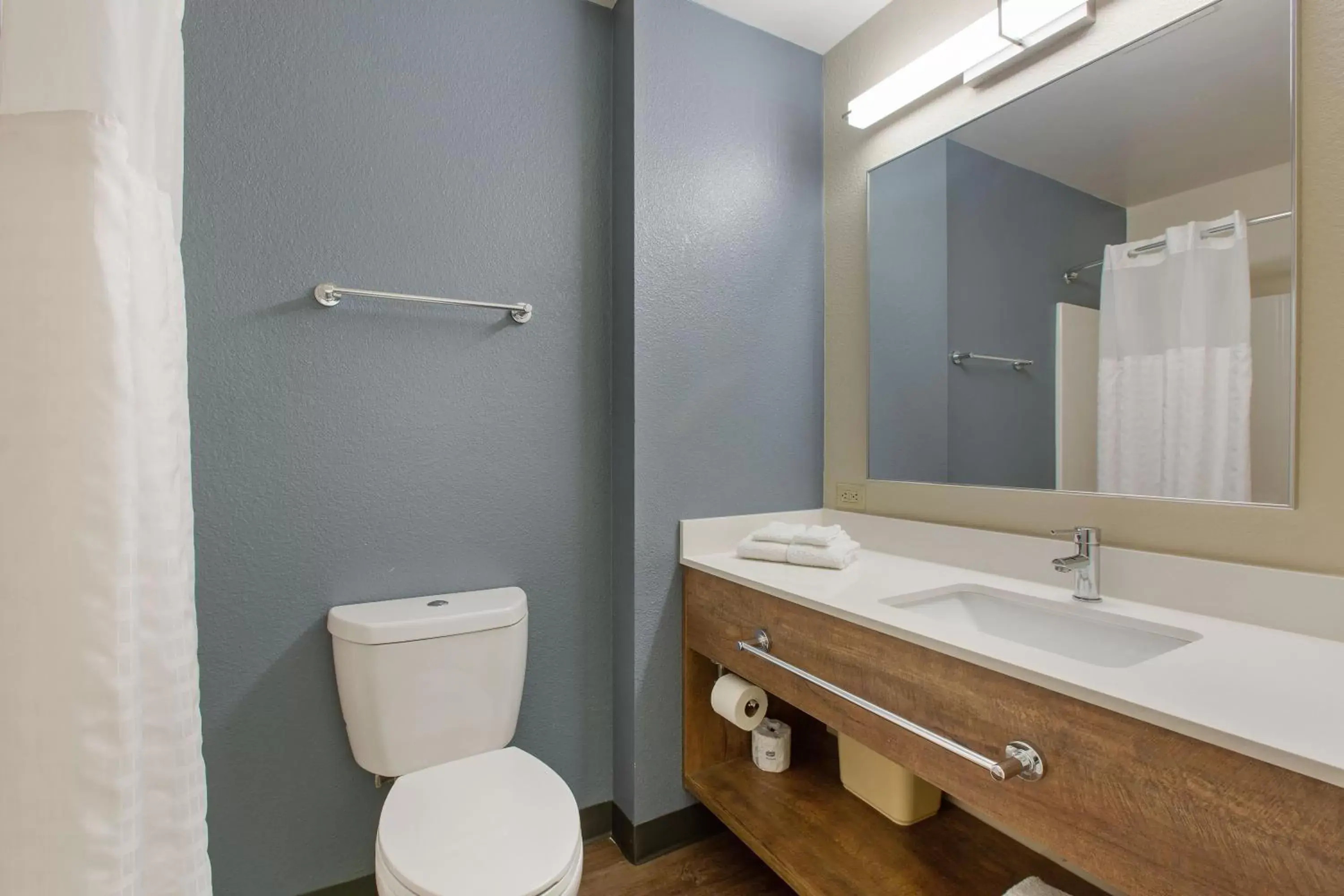 Bathroom in Extended Stay America Premier Suites - Union City - Dyer St