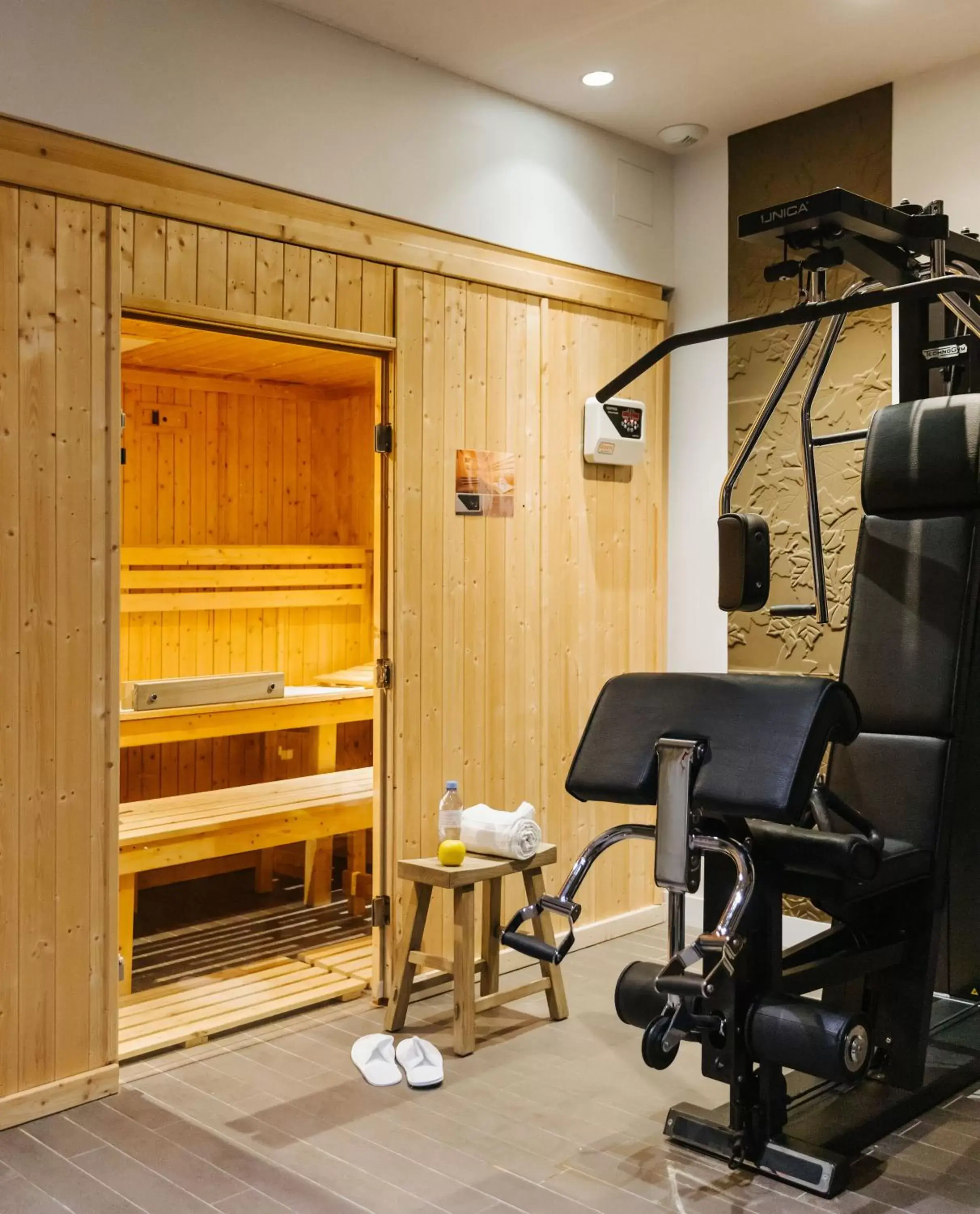 Sauna, Fitness Center/Facilities in Le Parisis - Paris Tour Eiffel