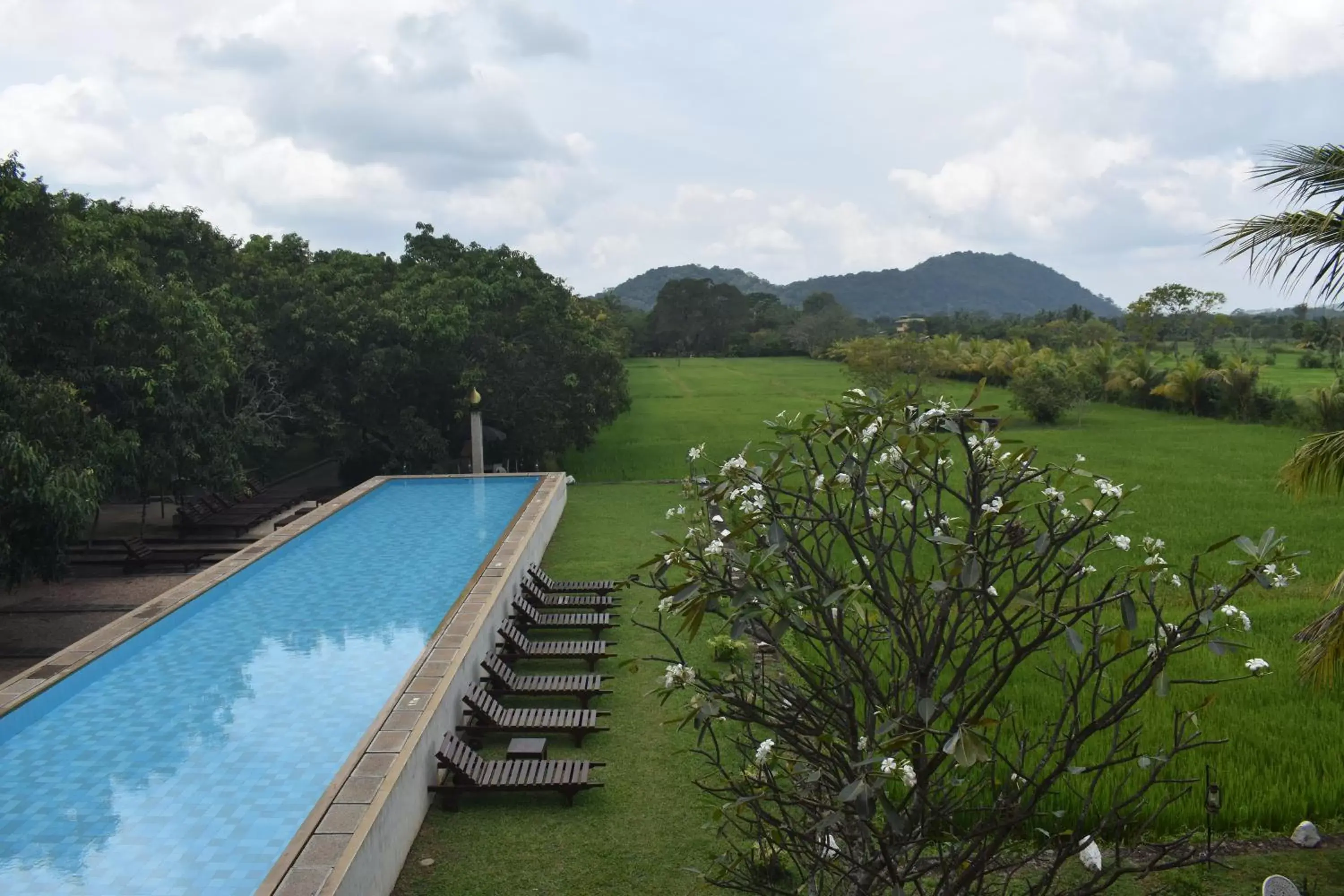 , Pool View in Sigiriana Resort by Thilanka