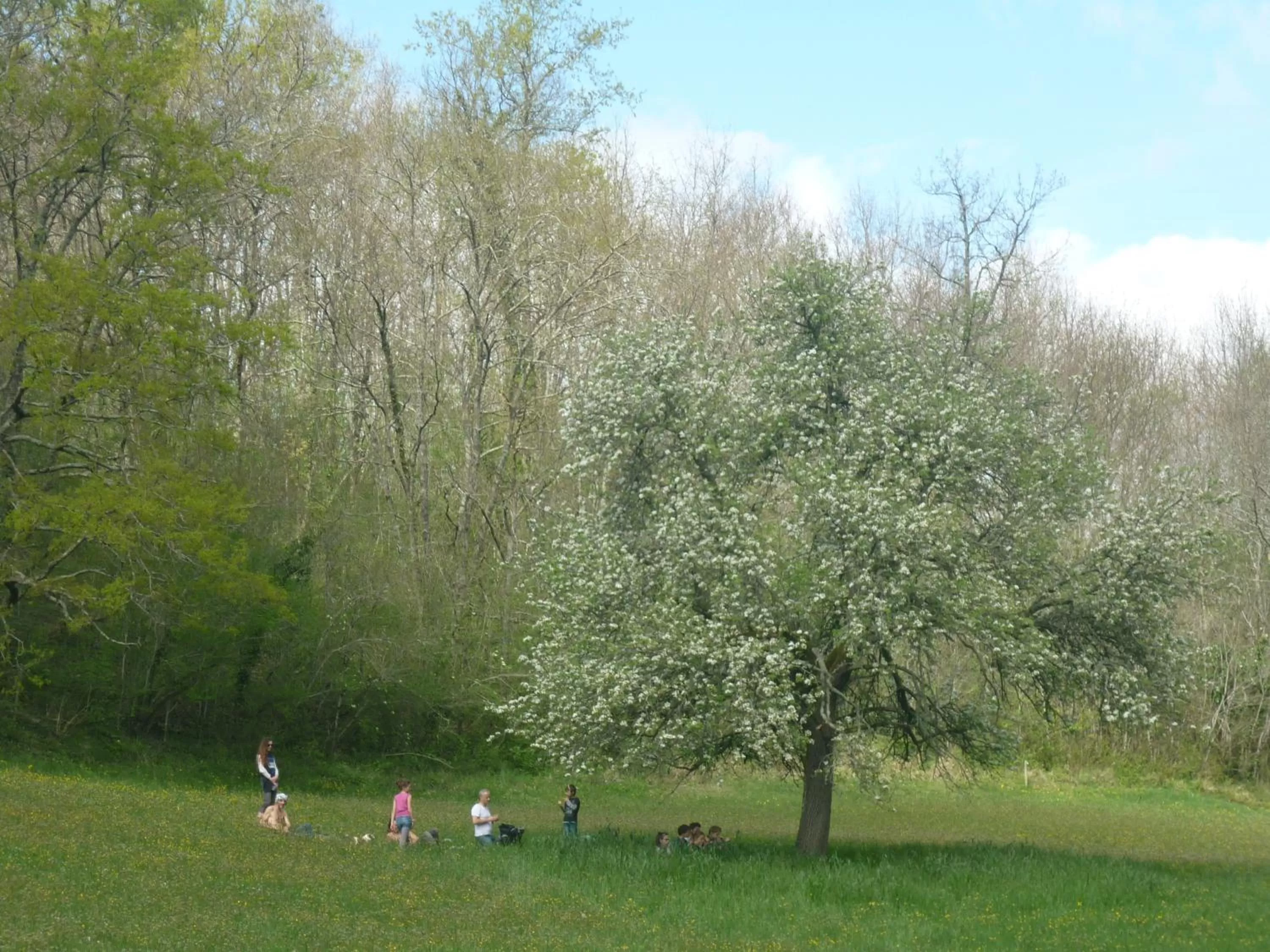 Off site in Sûn Chambres d'hôtes