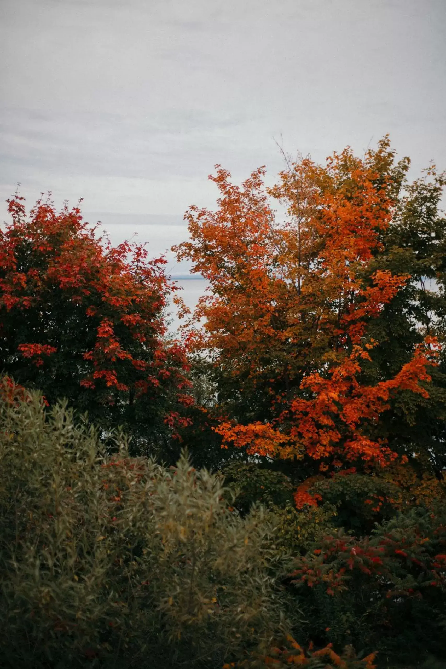 Other in Seagull Bay Motel Other in Seagull Bay Motel