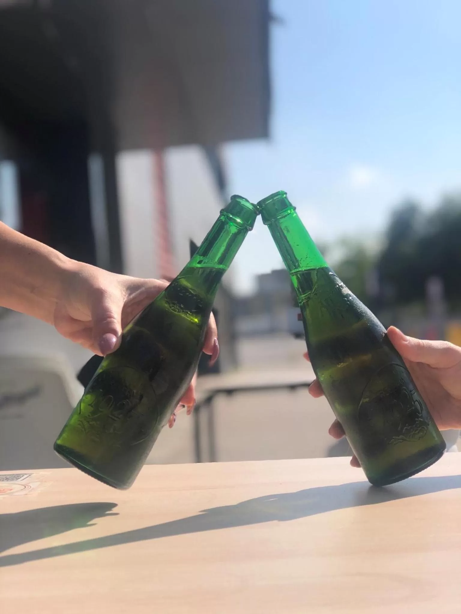 Garden in Ibis Ripollet