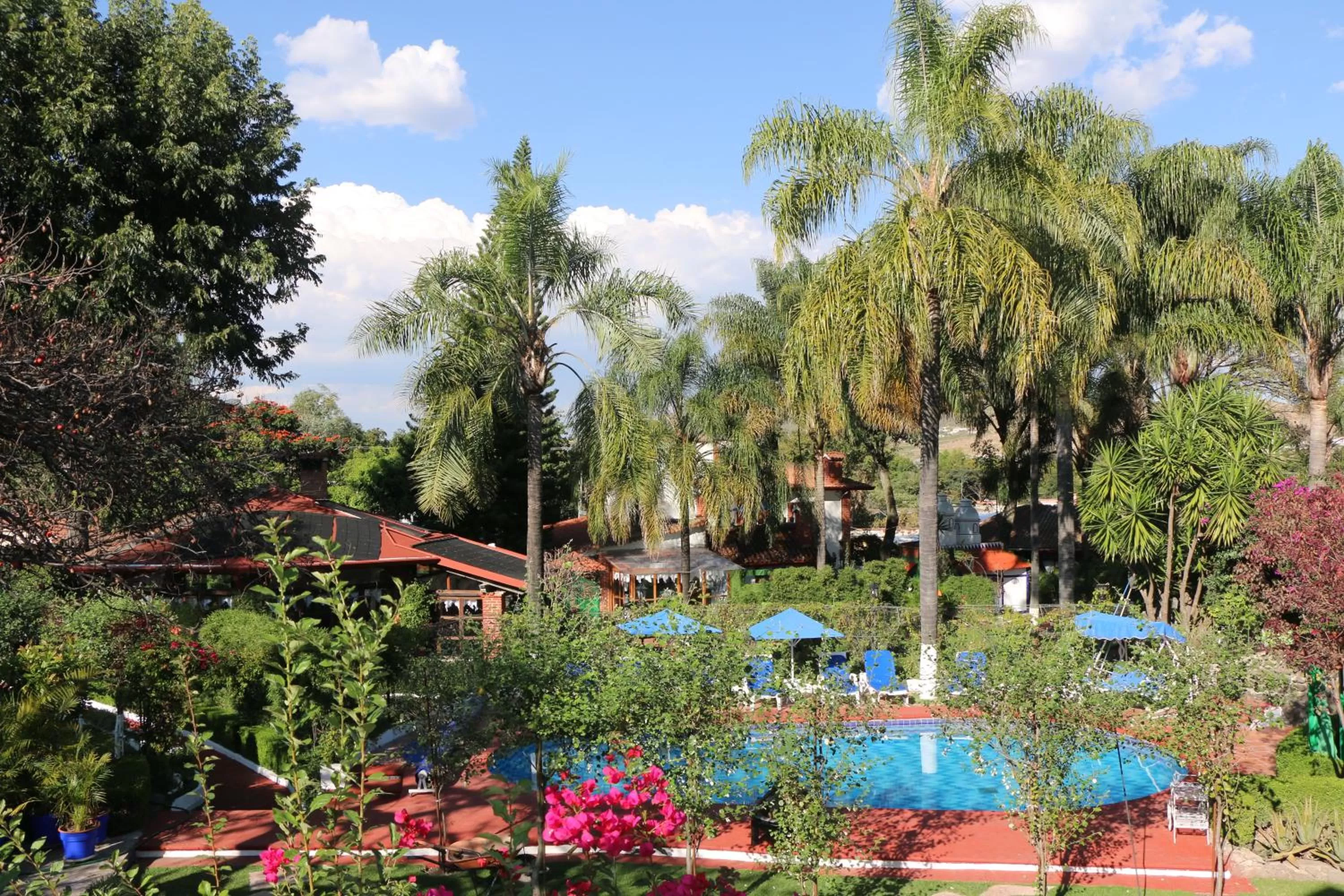 Pool view in Posada Los Alcatraces