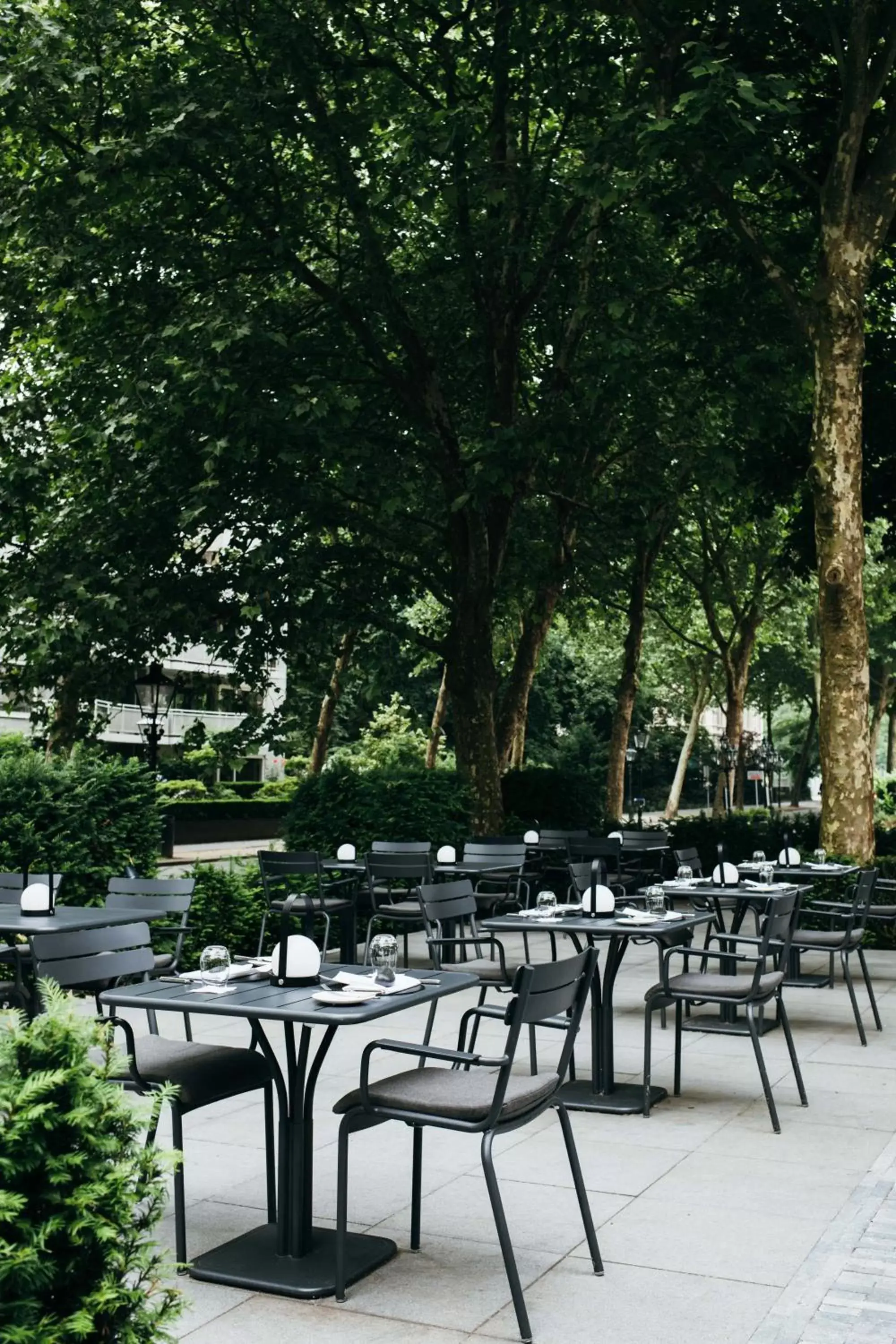 Restaurant/places to eat in Pillows Grand Boutique Hotel Ter Borch Zwolle Restaurant/places to eat in Pillows Grand Boutique Hotel Ter Borch Zwolle