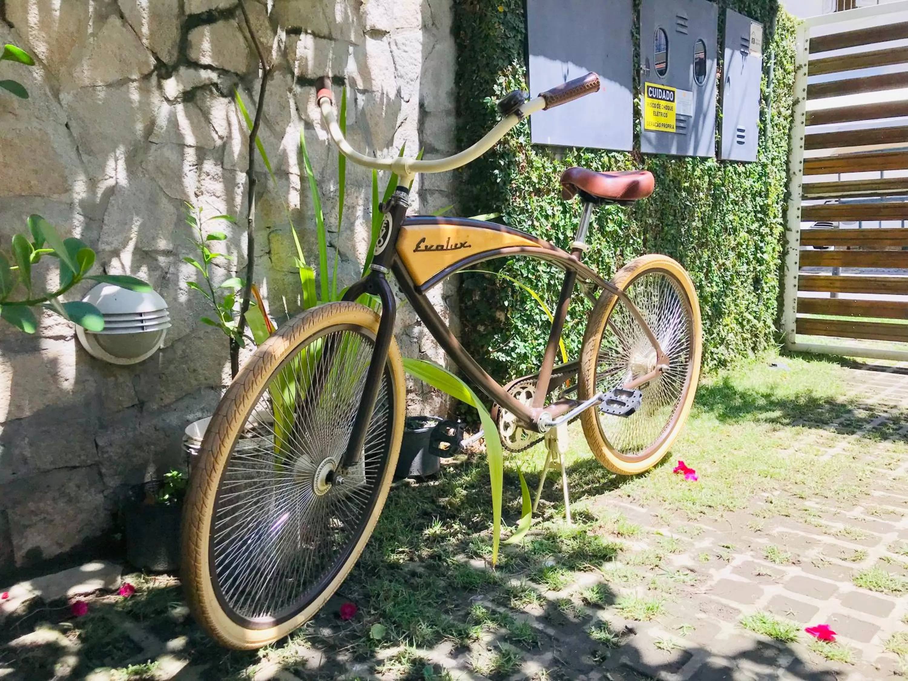 Other Activities in Viver Bahia Pousada