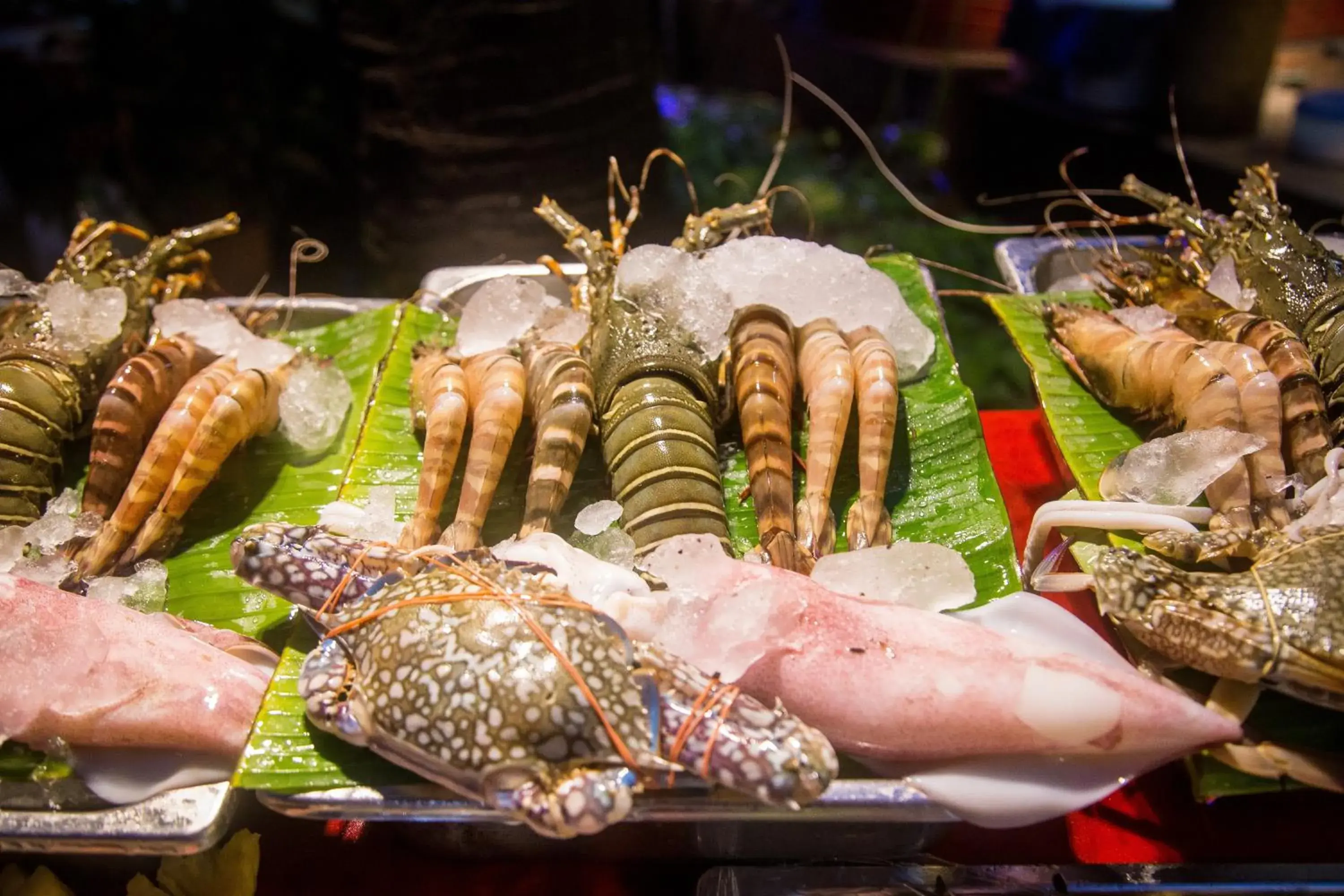 Restaurant/places to eat in Kata Poolside Resort SHA Extra Plus Restaurant/places to eat in Kata Poolside Resort SHA Extra Plus