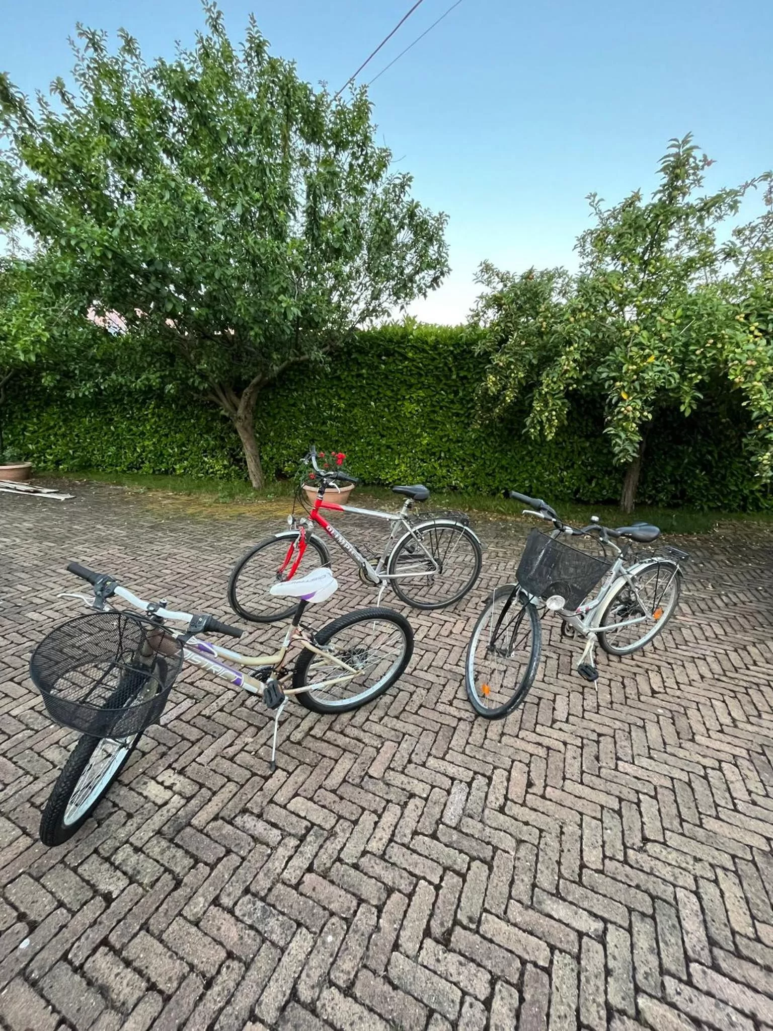 B&B La cas' d'Alfonz'