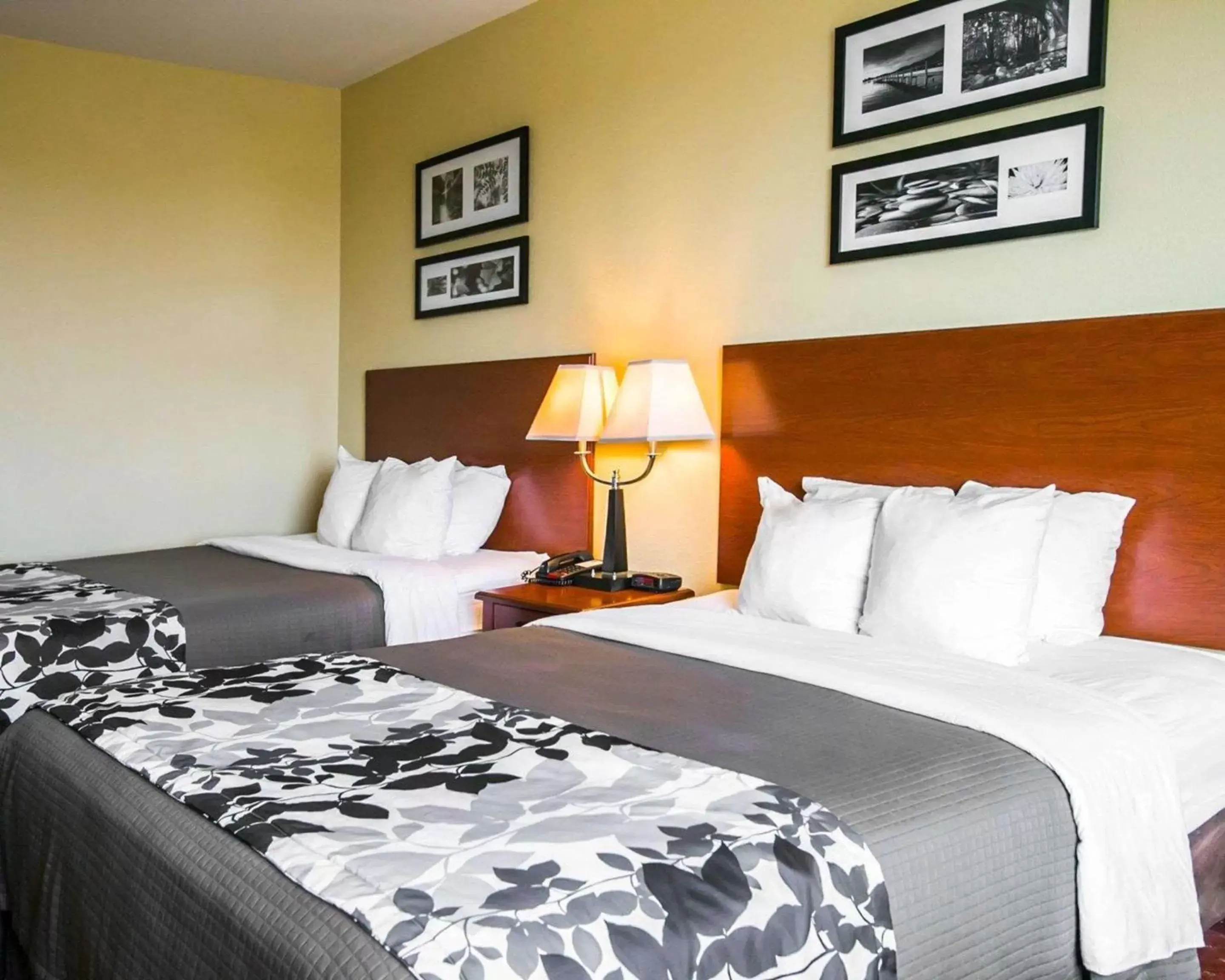 Photo of the whole room, Bed in Sleep Inn & Suites New Braunfels