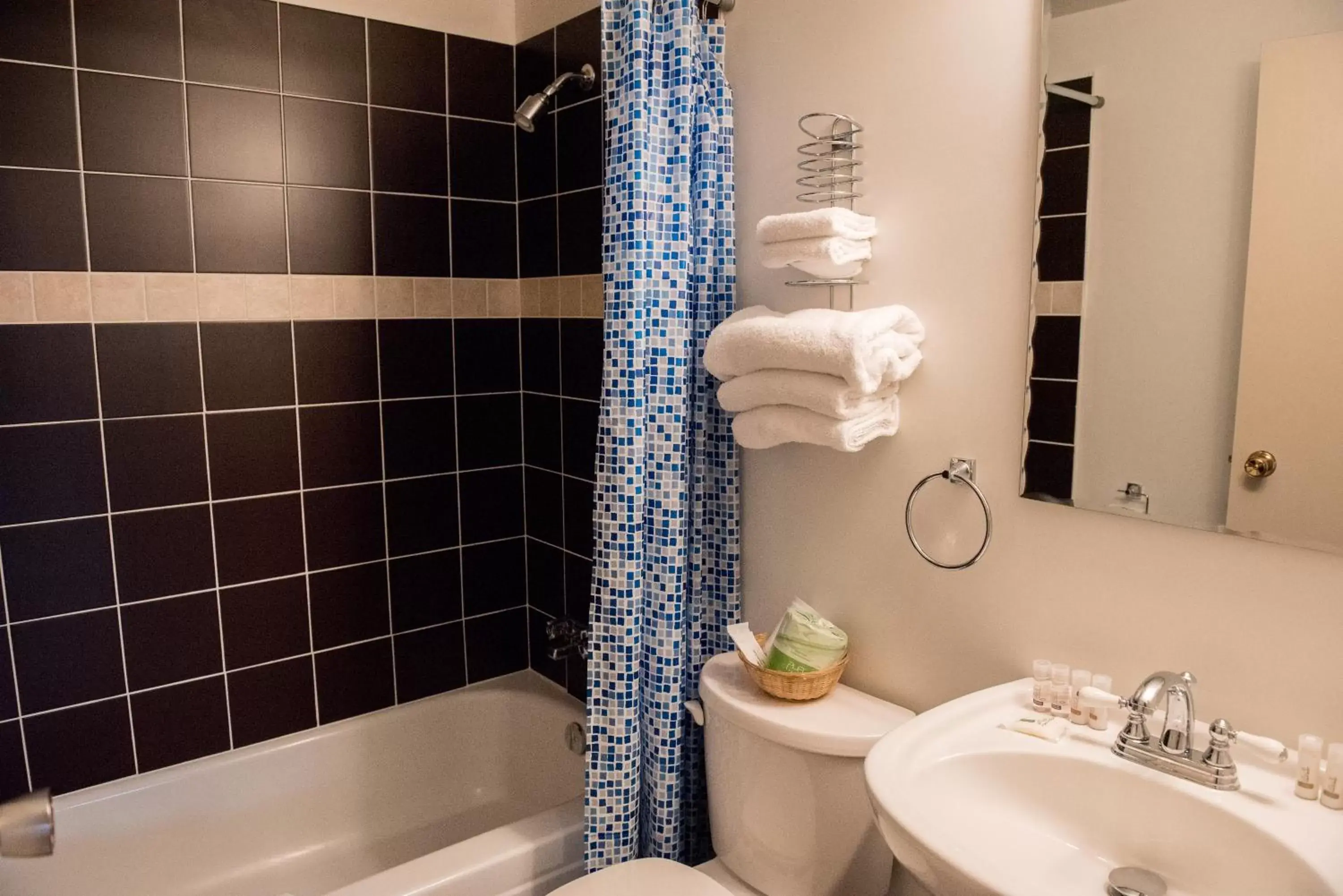 Bathroom in Radium Park Lodge