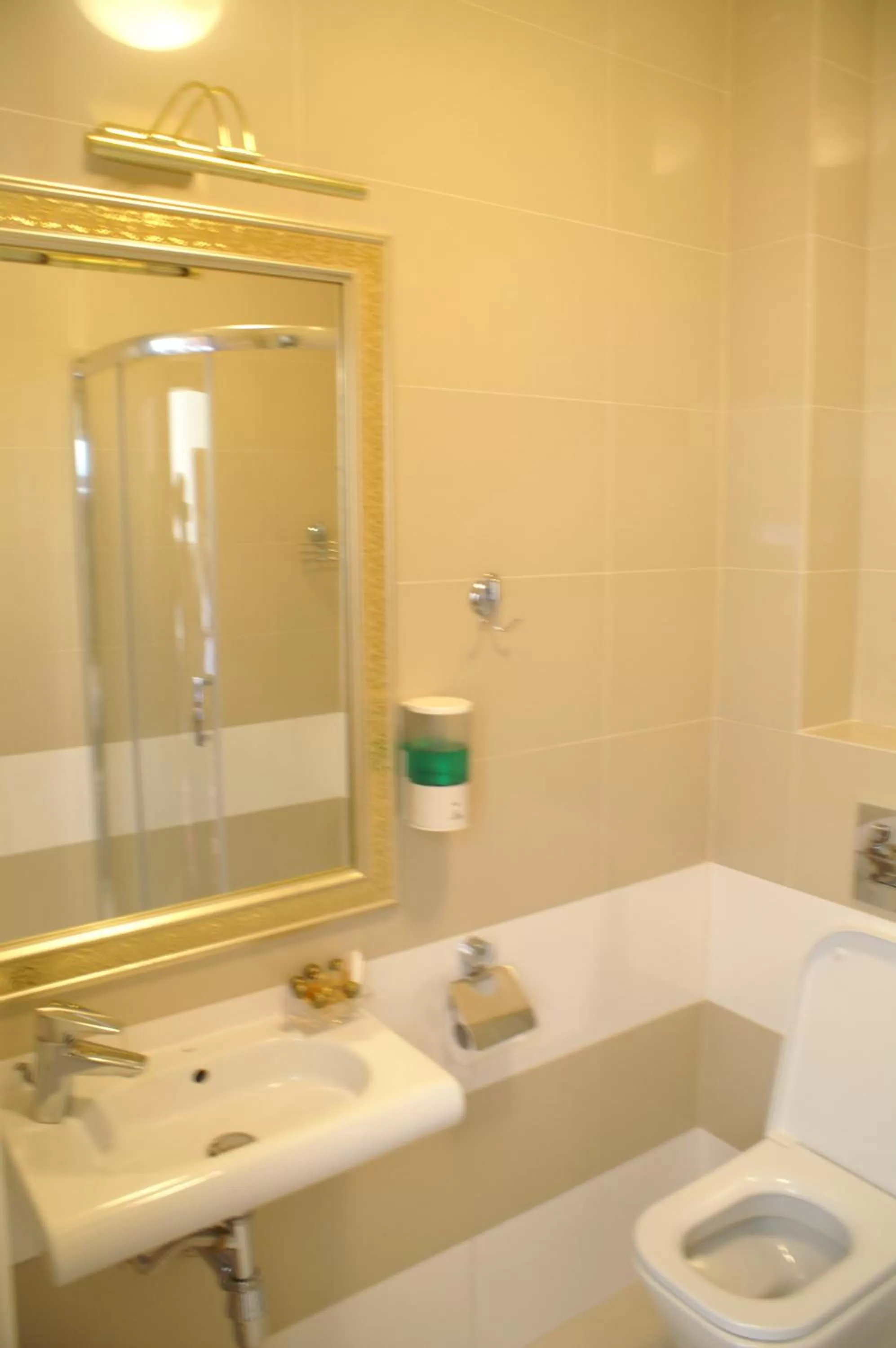 Shower in Hotel President