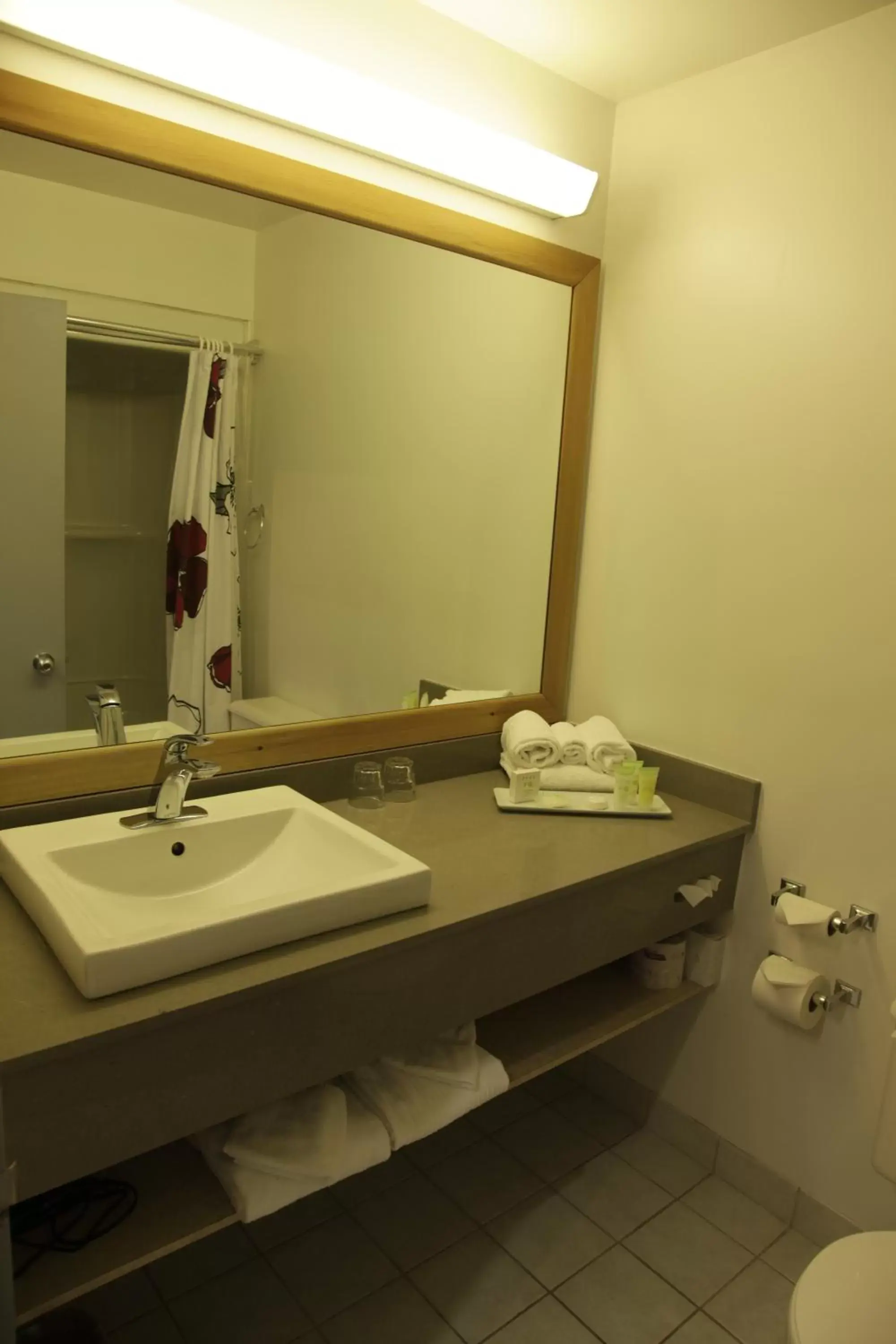 Bathroom in Hôtel Énergie Shawinigan