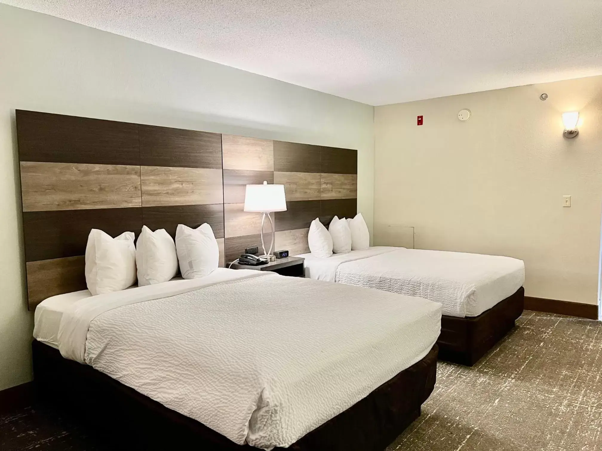 Photo of the whole room, Bed in Quality Inn & Suites Rehoboth Beach – Dewey